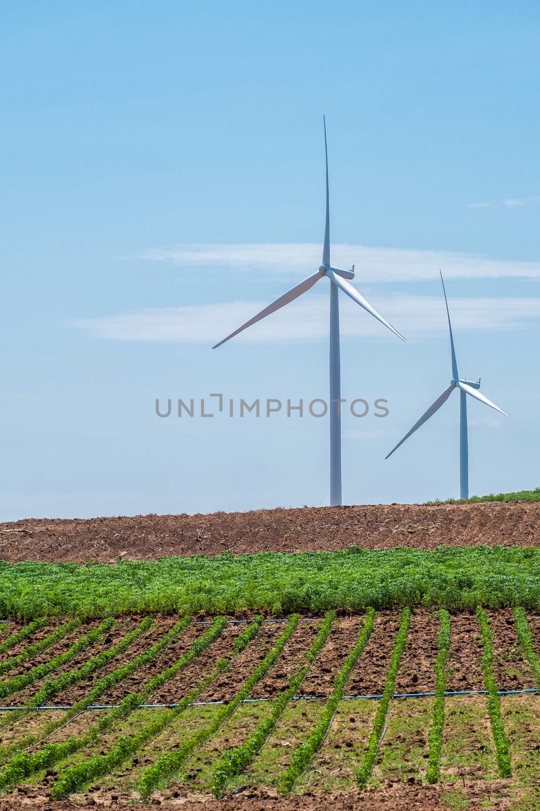  Wind turbine power at daylight 