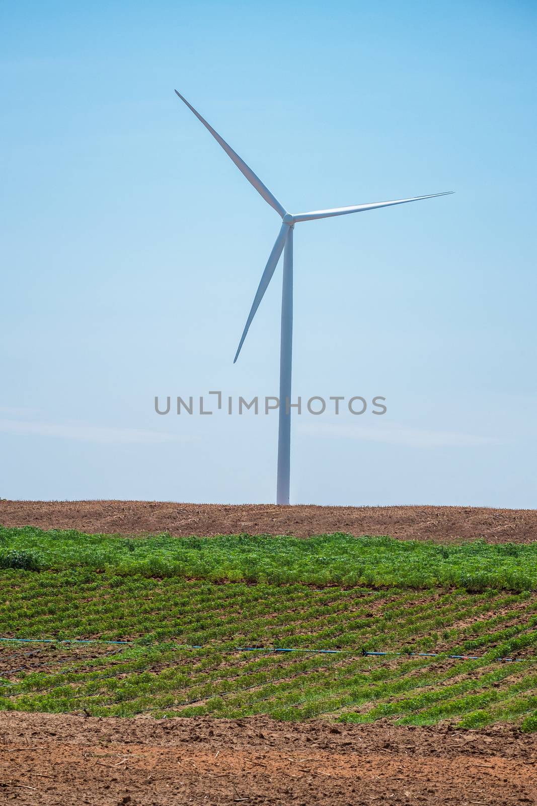 Wind turbine power at daylight  by Surasak