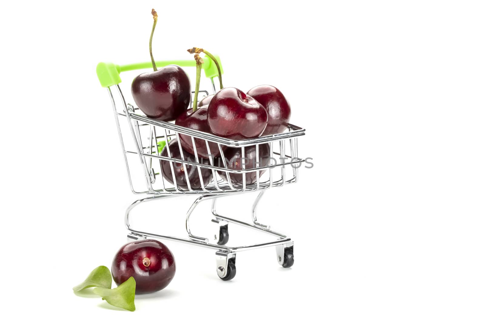 A bunch of dark red fresh cherries on a toy shopping cart. Isolated on white background.