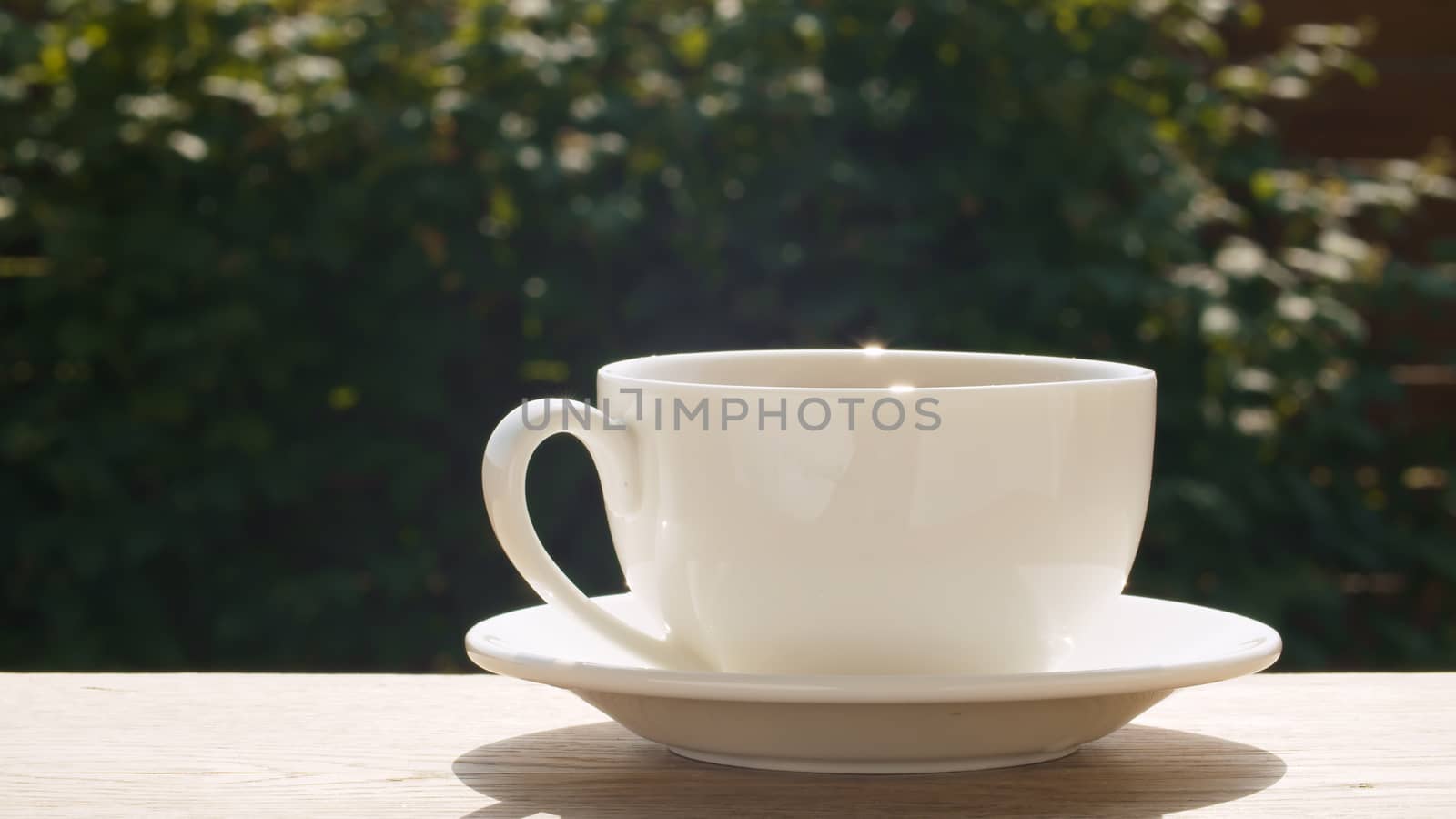 Close up teacup on the table in the garden at summer day