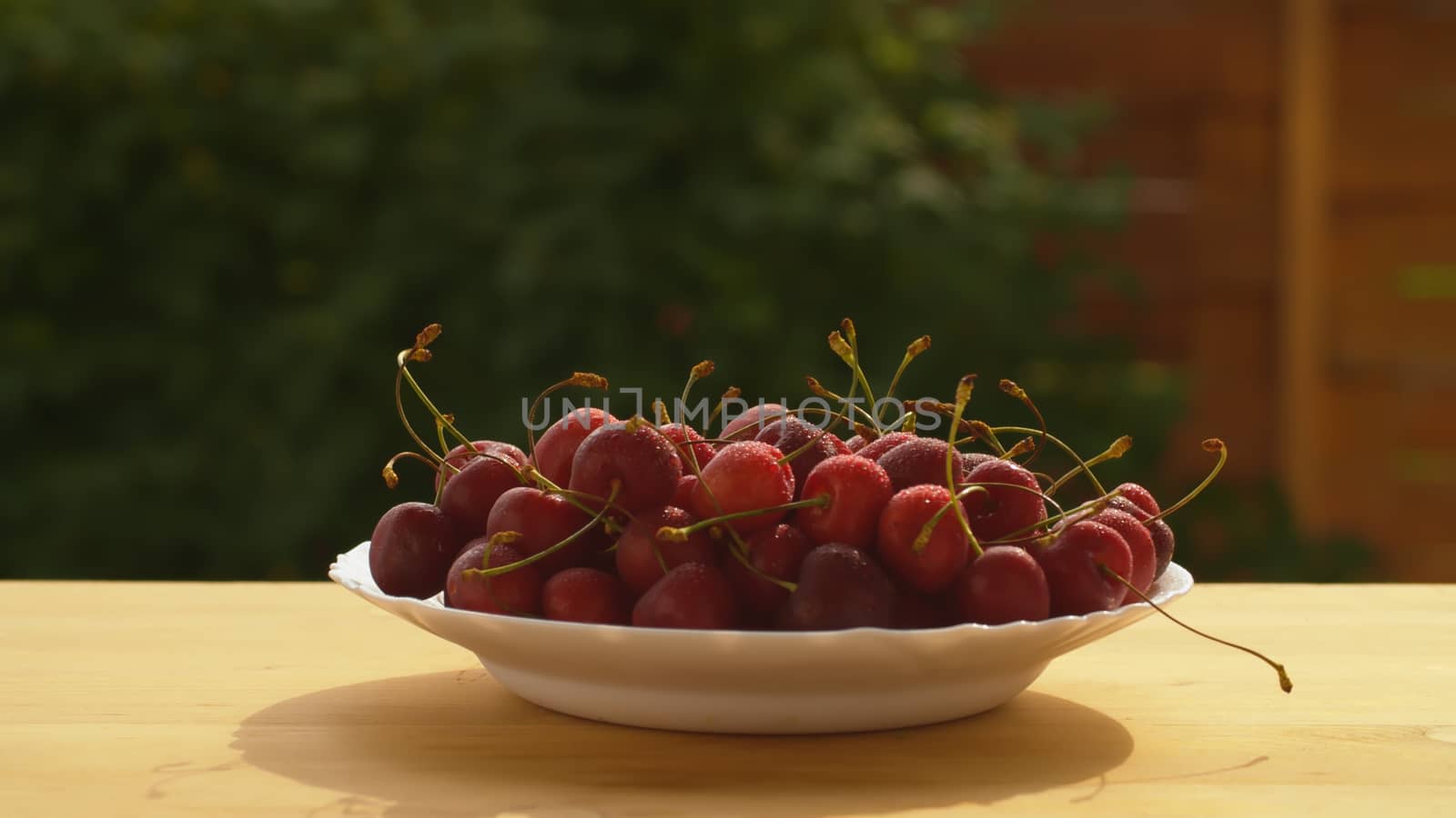 Close up summer still life - ripe cherry in drops of water on the table in a garden. Summer fresh healthy food