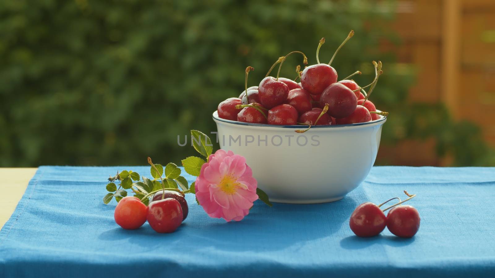 Close up summer still life - cherry in drops of water and dog rose in the bowl on the table. Summer fresh healthy food