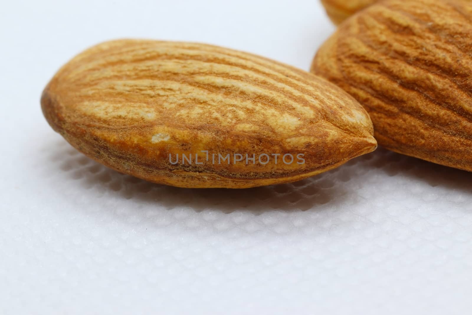 close up of almond seeds with white background and shadow