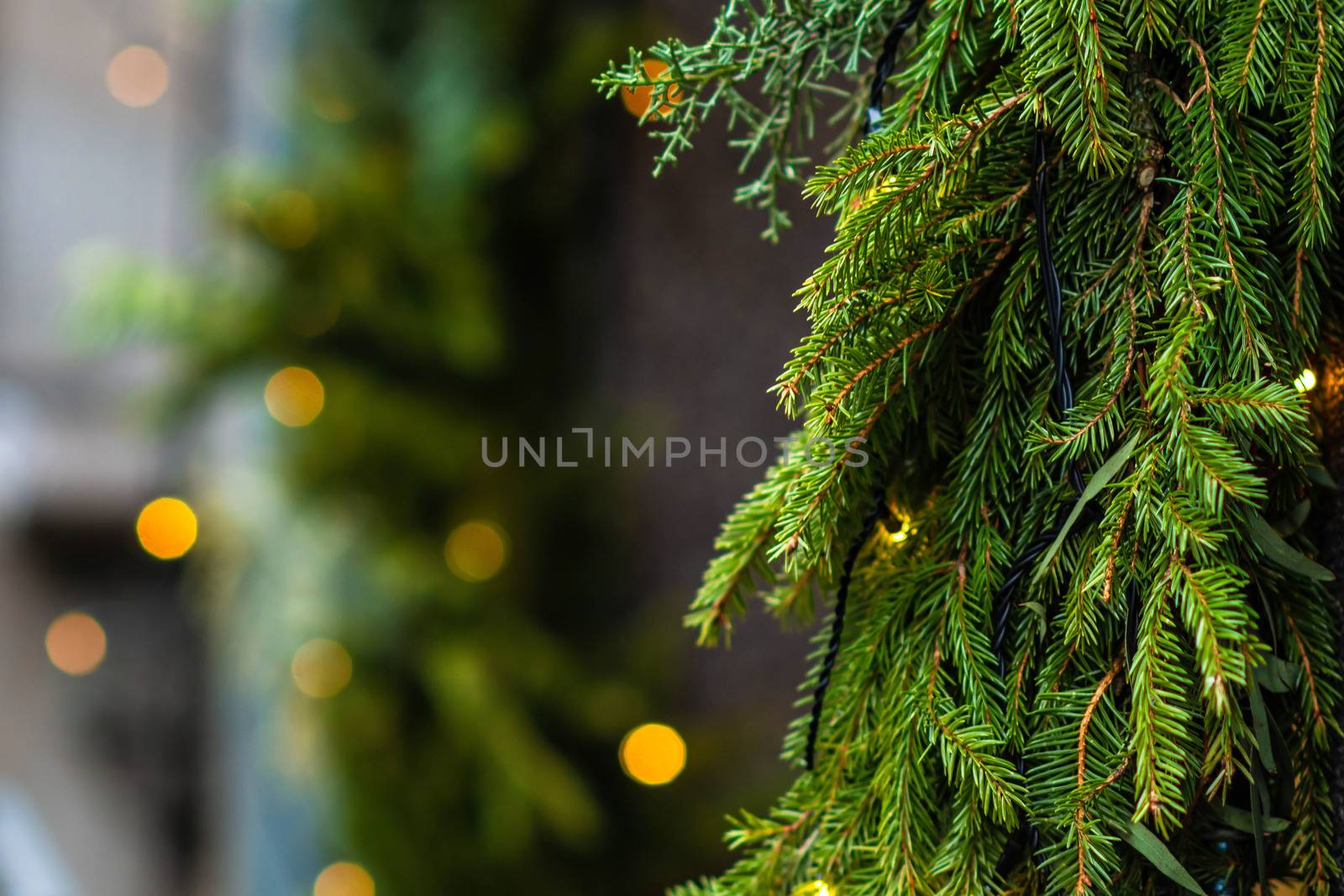 Close-up photo. Christmas decorations and lights.