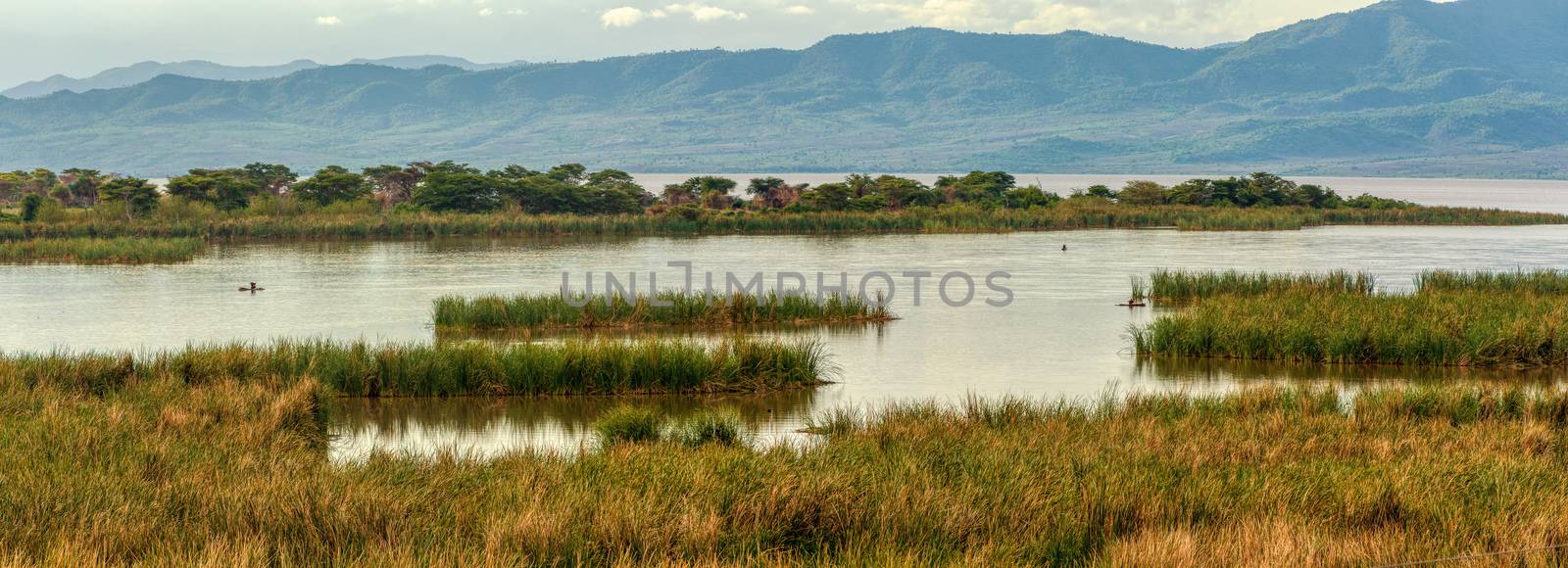 Lake Chamo landscape, Ethiopia Africa by artush