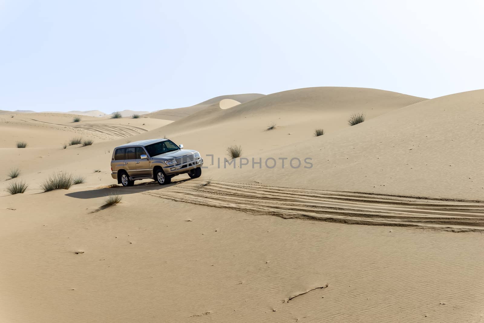 Desert Safari in Dubai Emirates, United Arab Emirates by GABIS