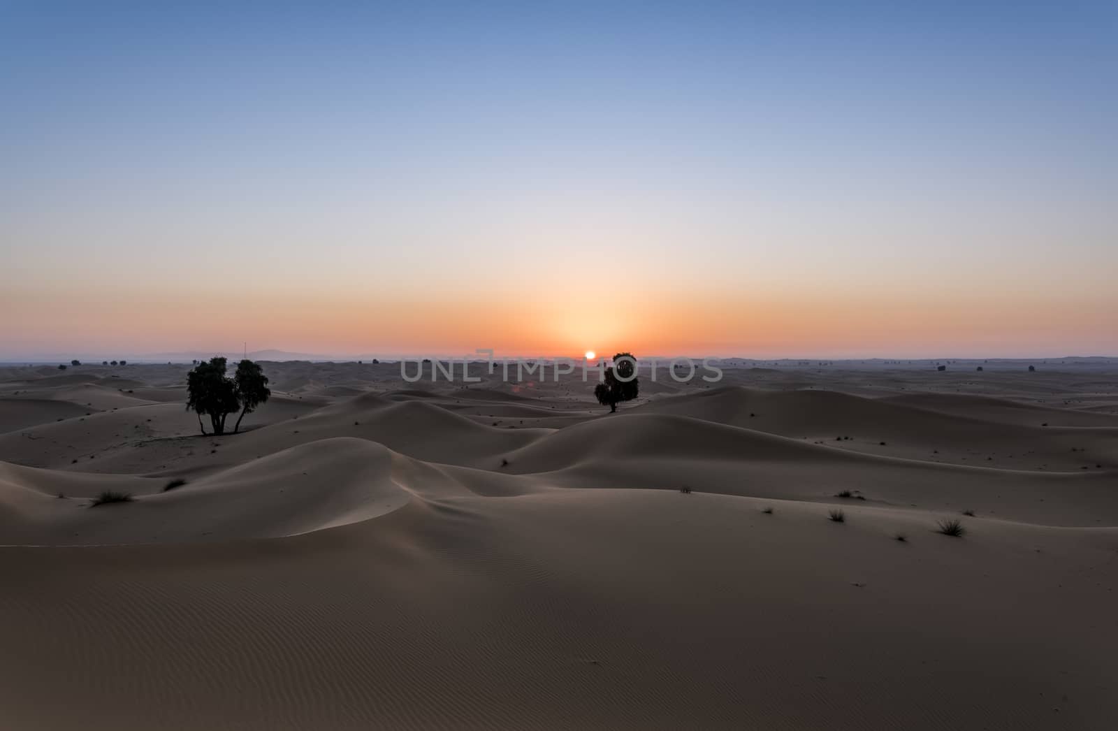 Sunrise aboves an ocean of sand dunes by GABIS