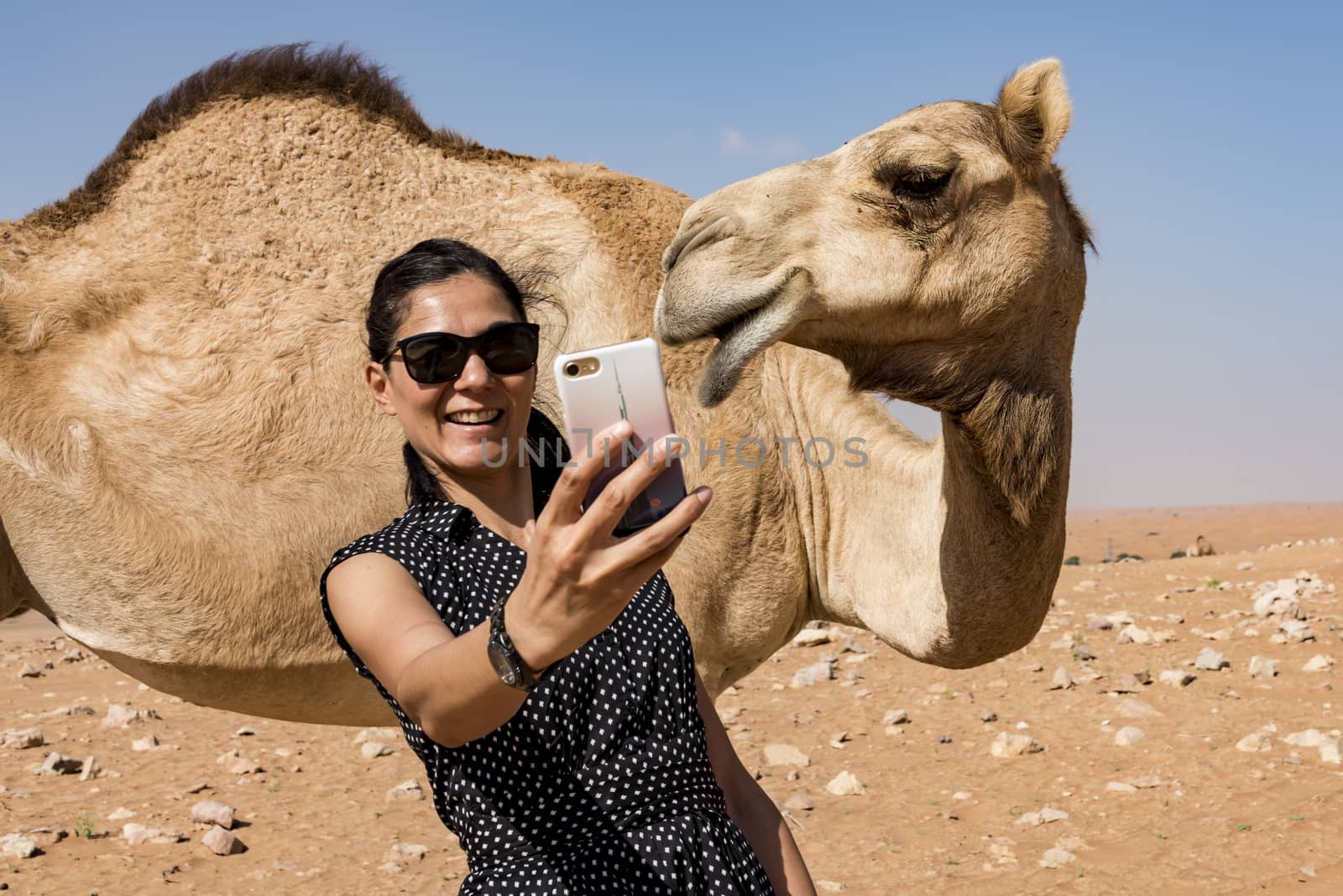 Woman taking selfie with a camel in the desert during a safari