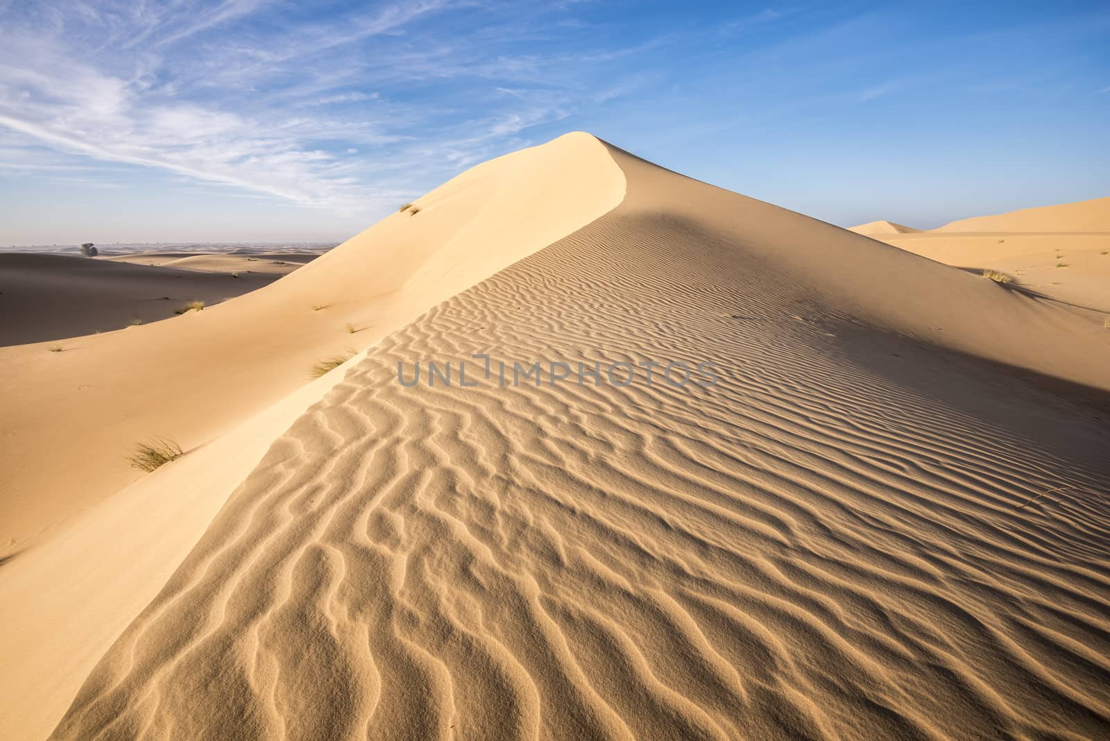 Top of a dunes of red sand agaisnt blue sky and few clouds, Dubai Emirates, United Arab Emirates, UAE, arabian peninsula