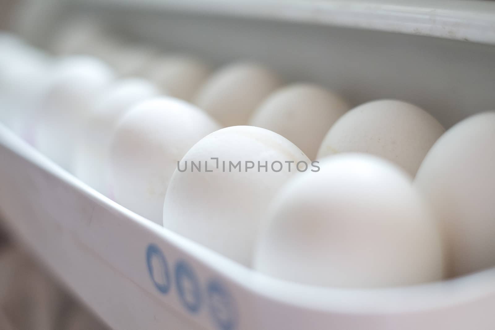 Crude eggs lie in the refrigerator