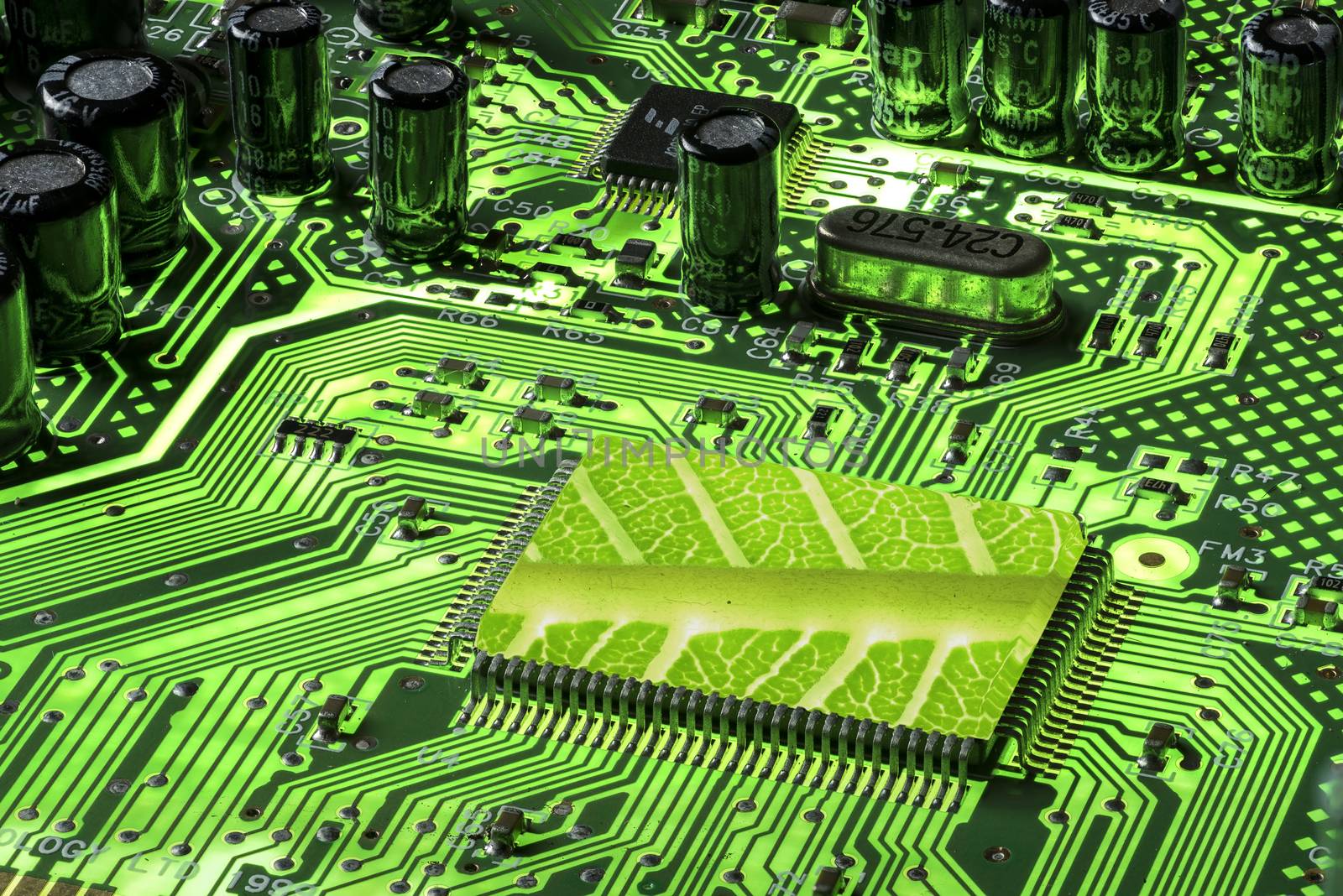 Green Mother board fluorescent with CPU with leaf texture by GABIS