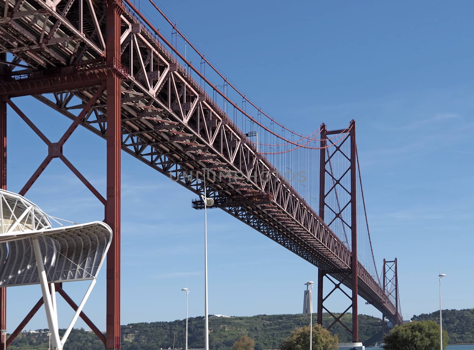 Seagull flying over red bridge ponte 25 de abril by Stimmungsbilder