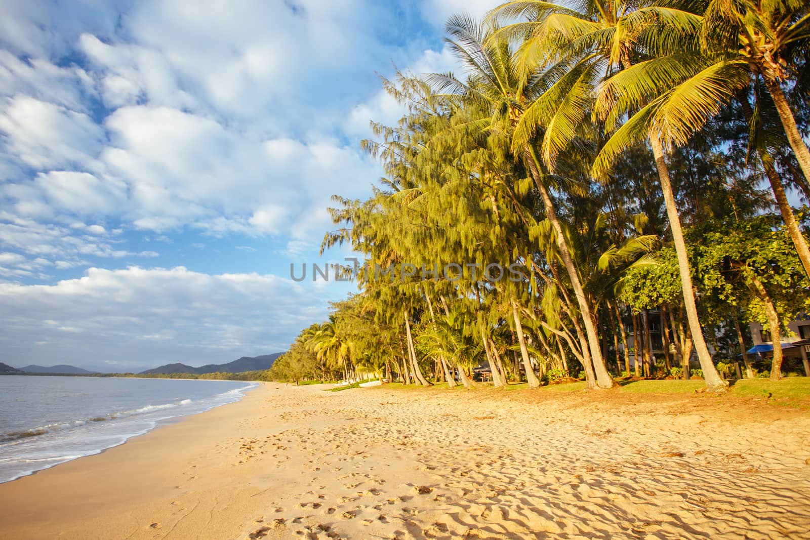 The famous idyllic beachfront of Palm Cove at sunrise in Queensland, Australia