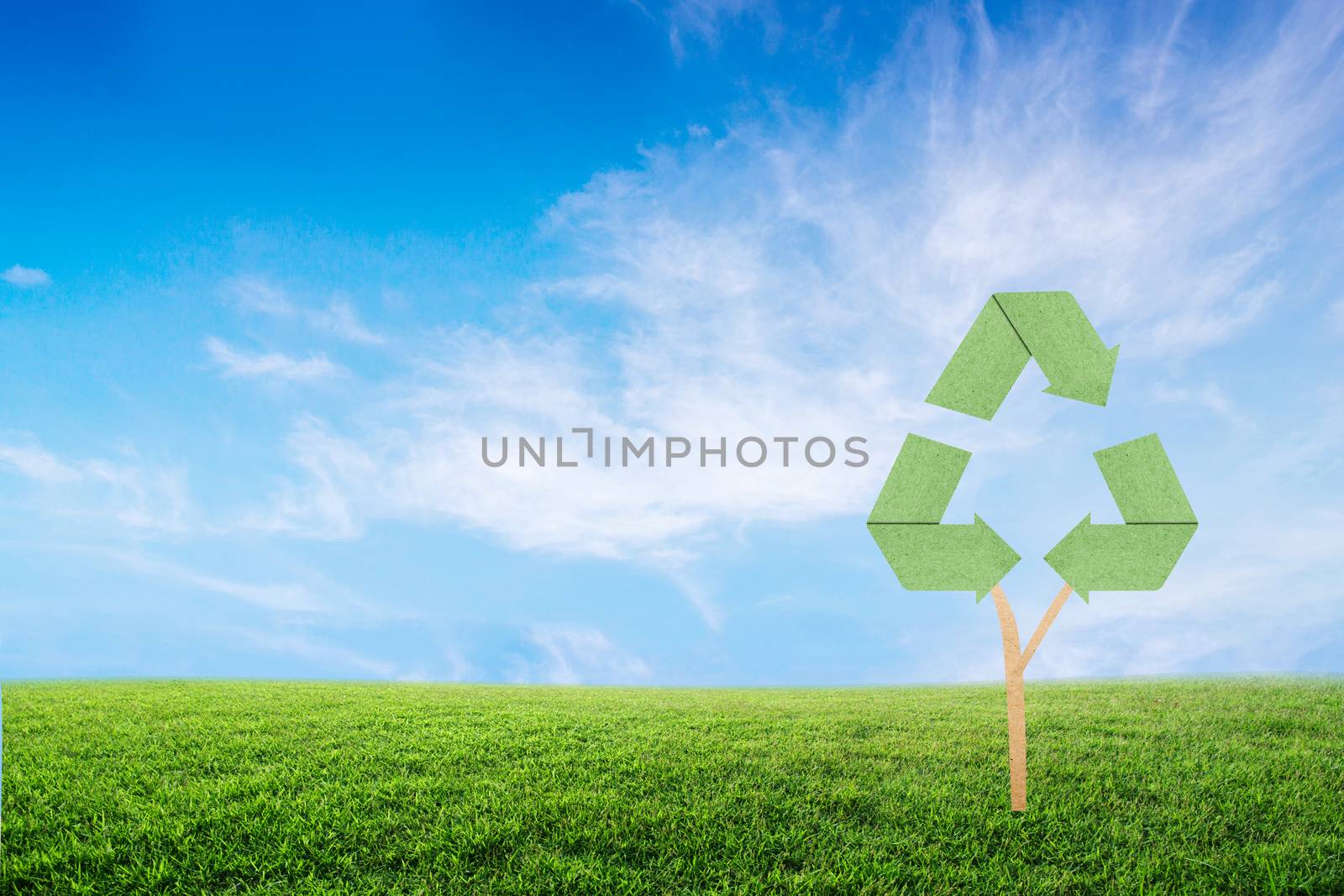 Concept recycle of life. Big alone tree in the field.