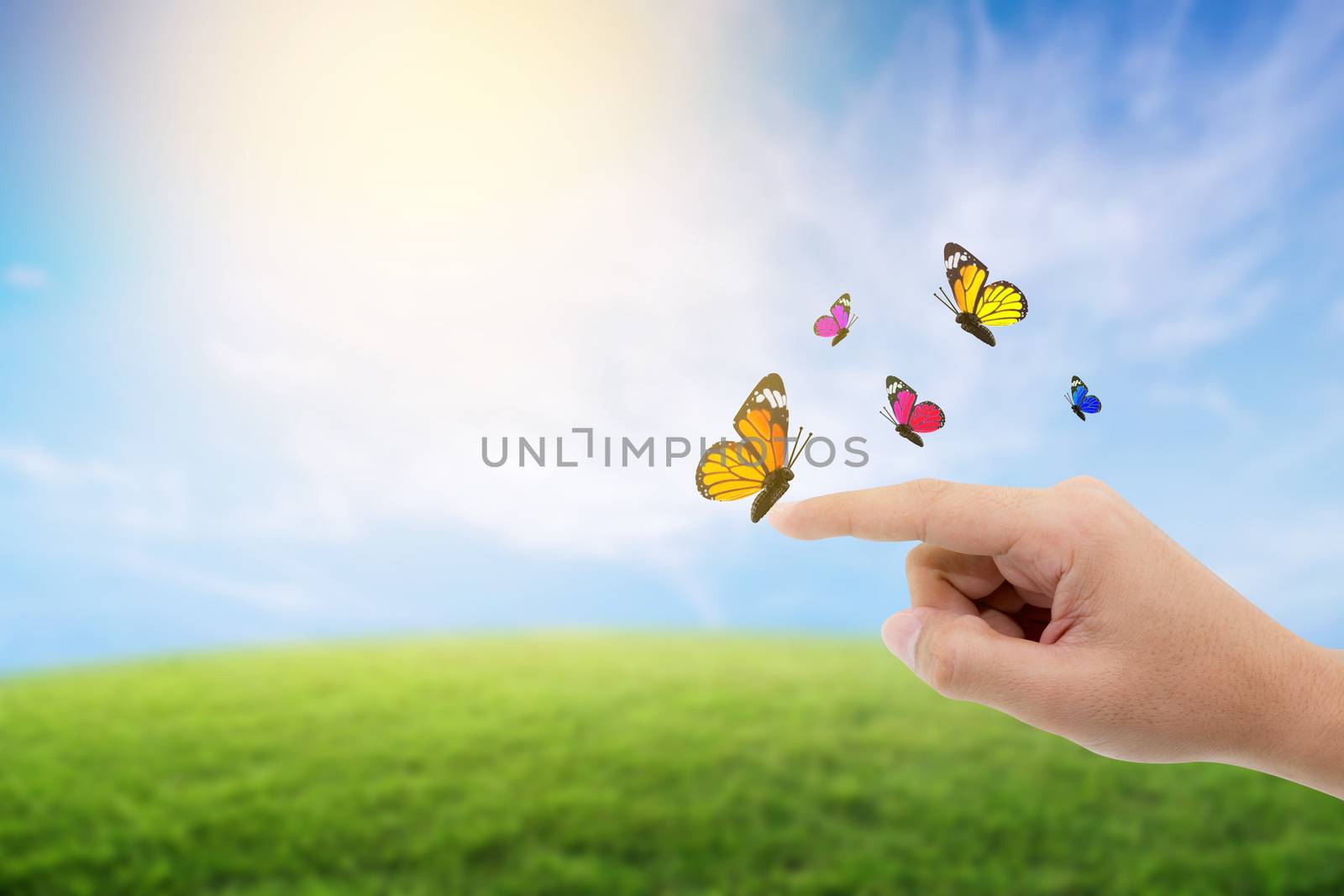 finger point a butterfly on nature background - environment concept.
