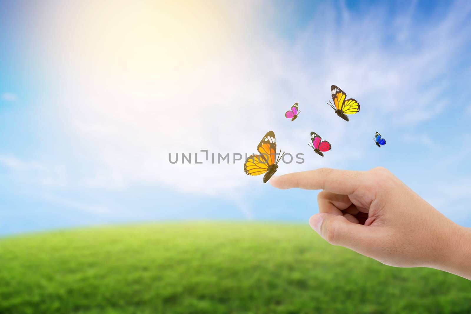 finger point a butterfly on nature background - environment concept.