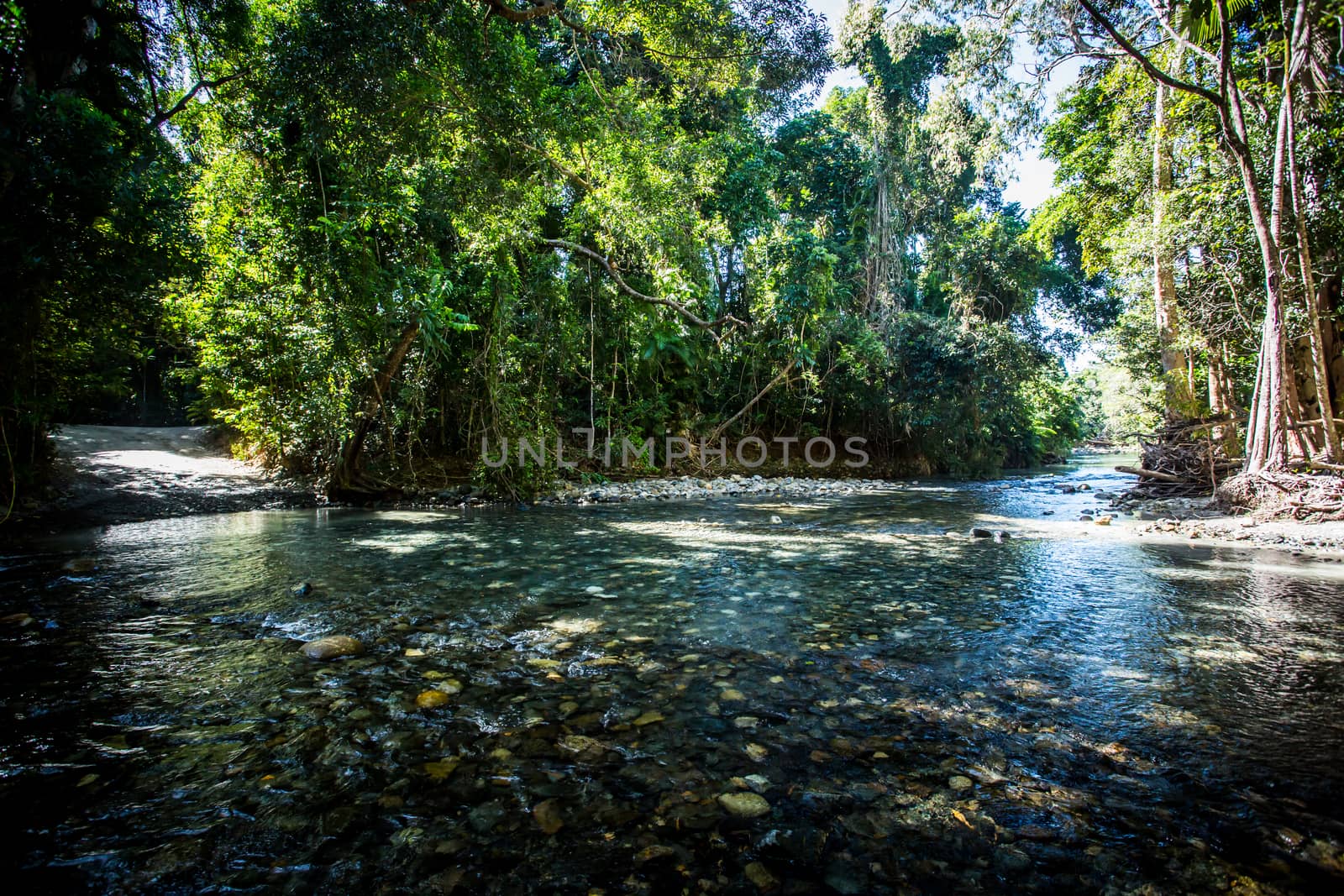 Daintree River Crossing Queensland Australia by FiledIMAGE