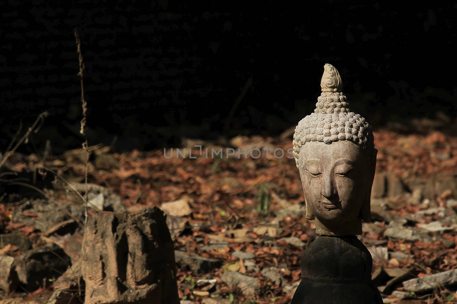 The head of an old Buddha statue, traces of erosion on the ground