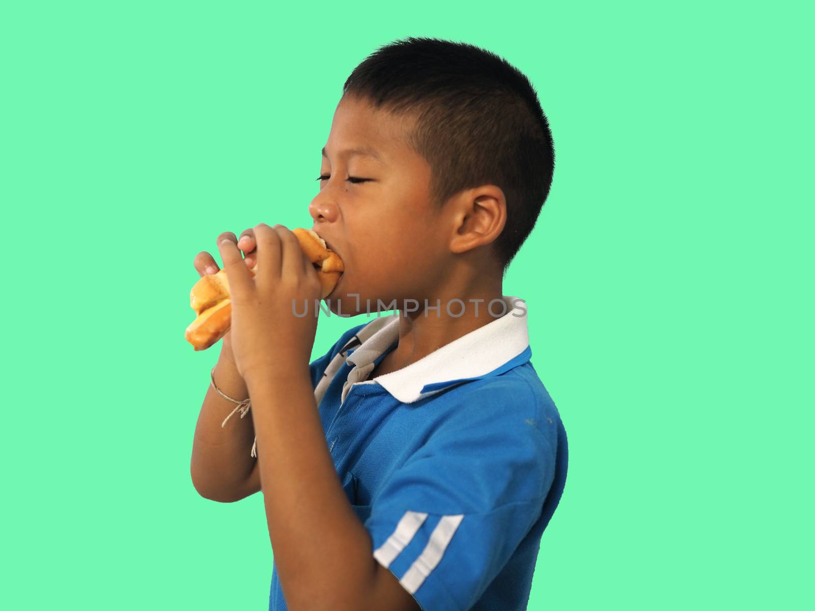 Portrait of a boy eating a hot dog Isolated from on the green background. clipping path. Junk food concept.