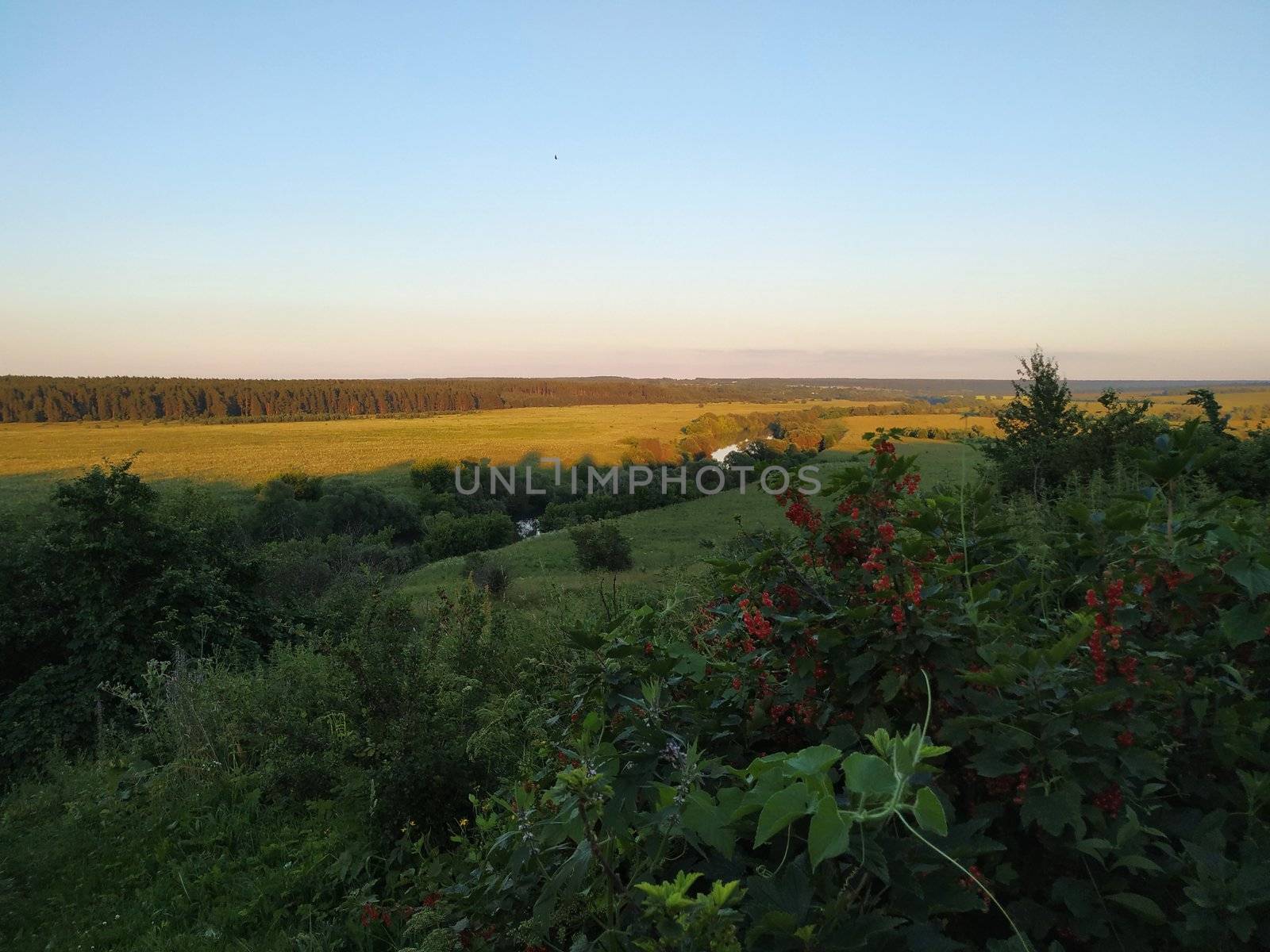 Landscape with river and trees, fields and cloud sunder the sun, smart