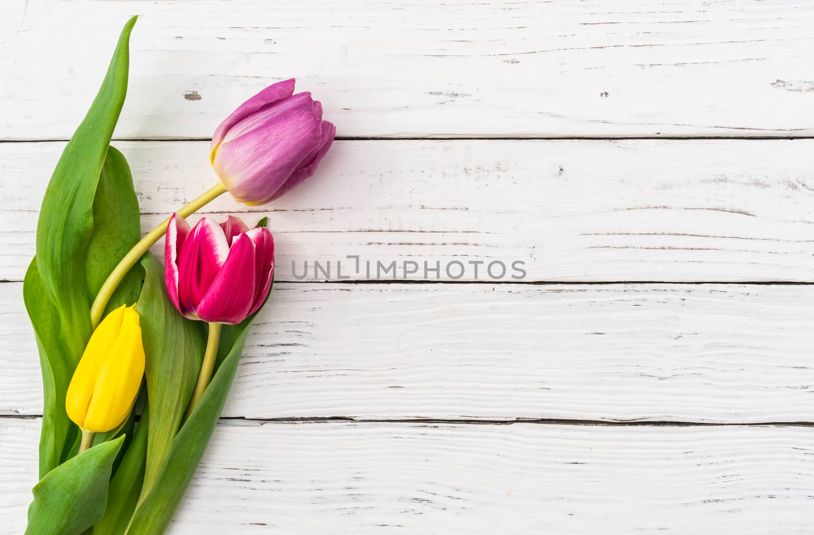 Bouquet of flowers with multi-colored tulips on white wooden background and copy space