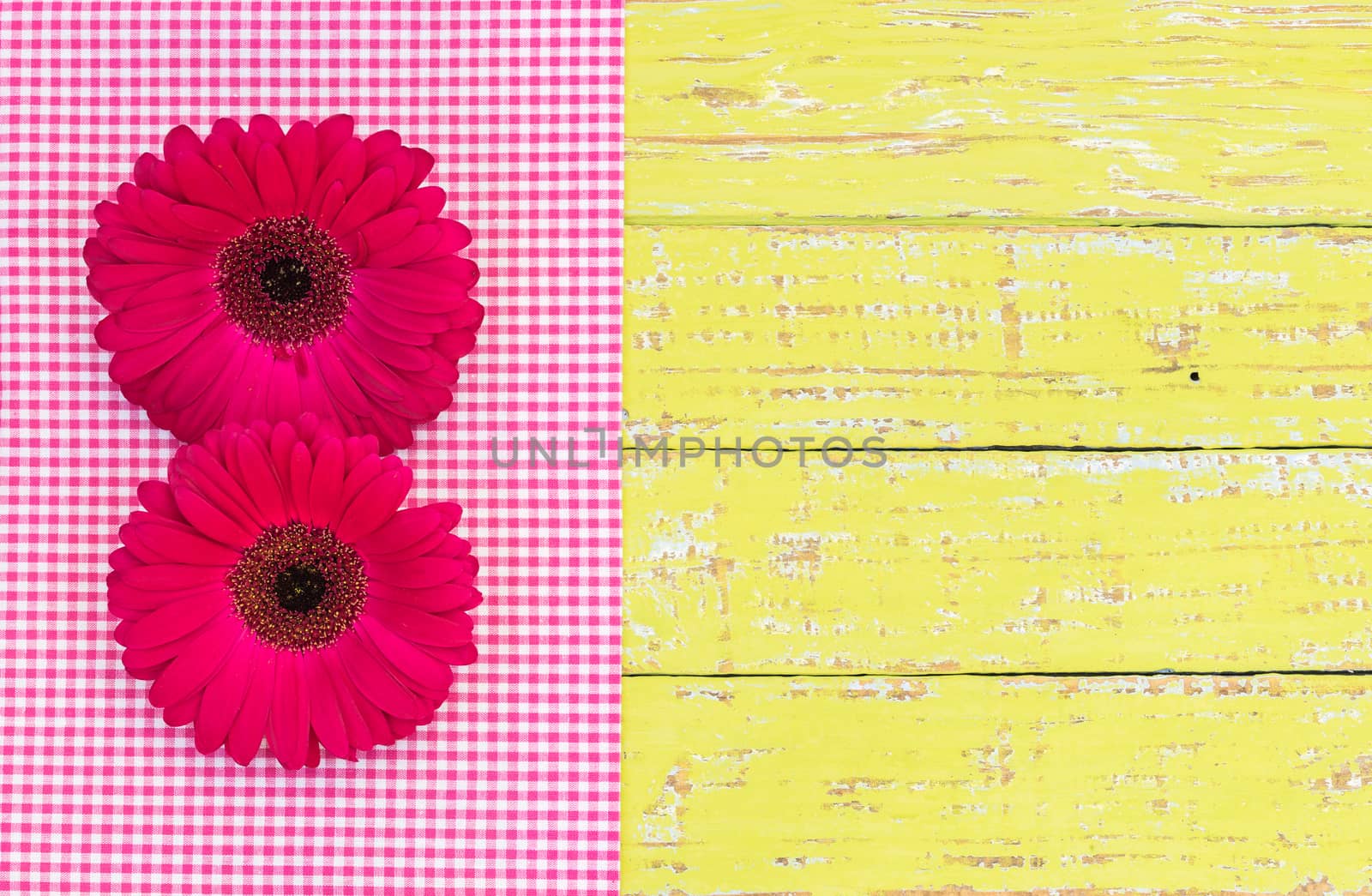 Flowers gift or greeting card with pink gerberas on yellow wood  by Vulcano