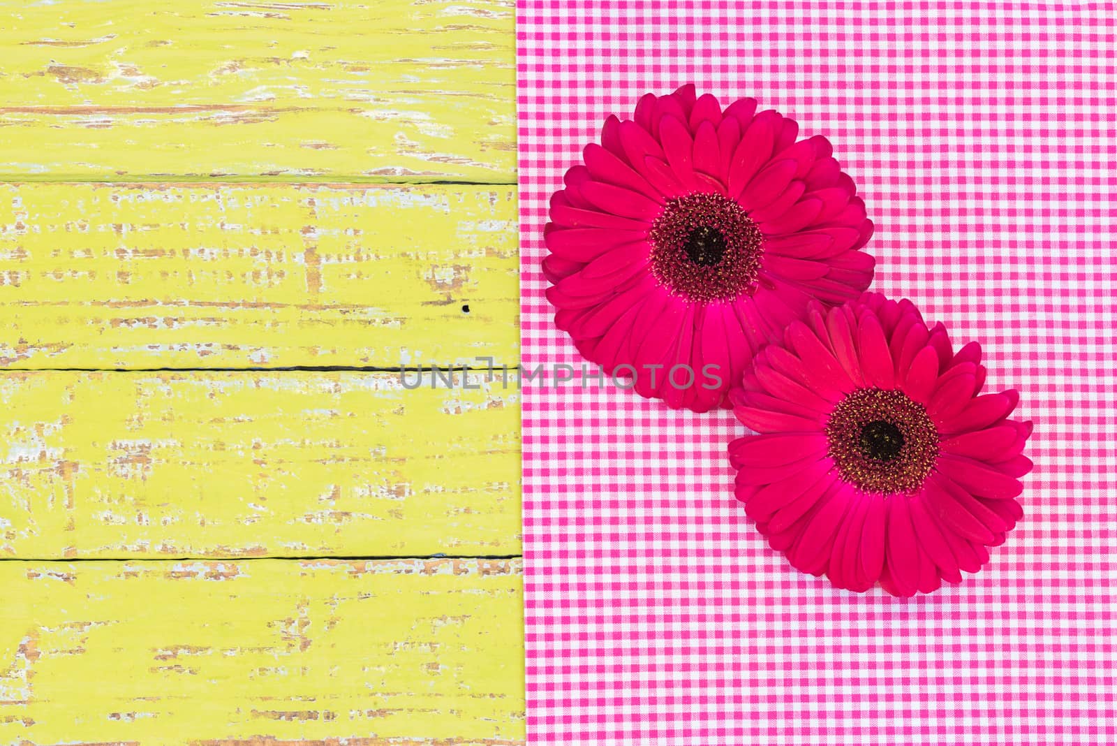 Beautiful fresh pink flowers on yellow colored wooden background by Vulcano