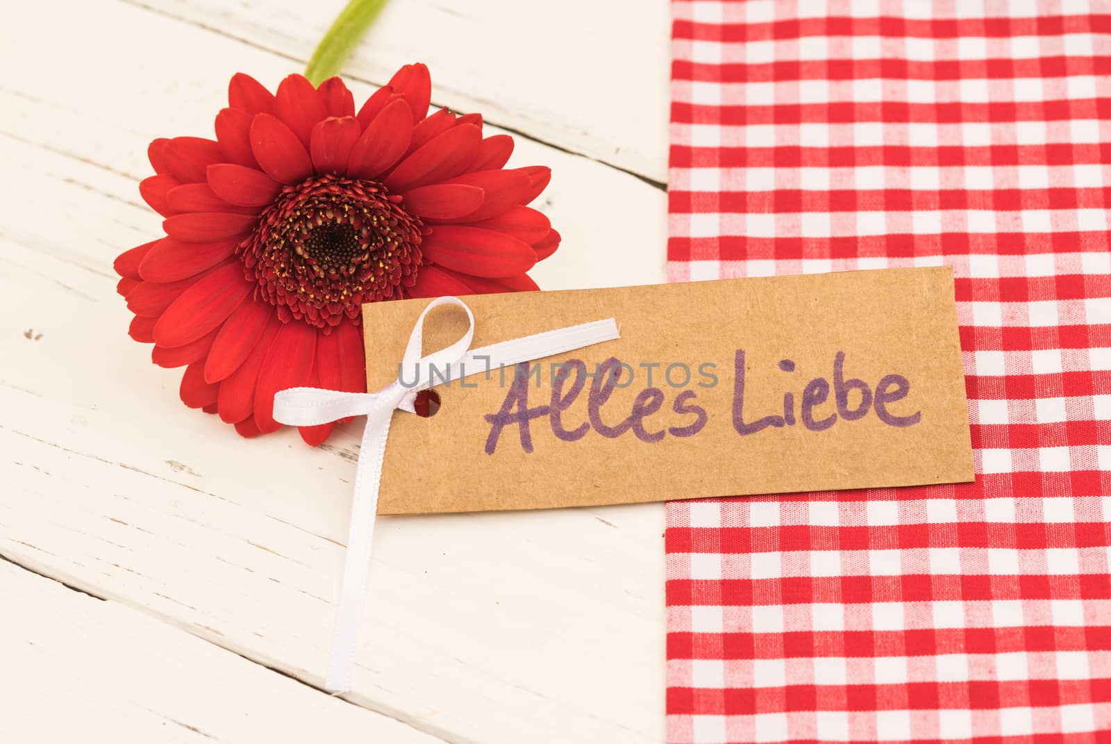 Beautiful red gerbera flower with greeting card with german text, Alles Liebe, means love