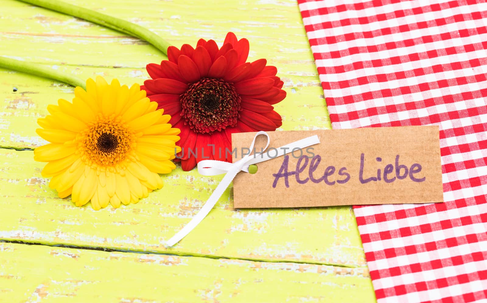 Beautiful flowers with love card greetings by Vulcano