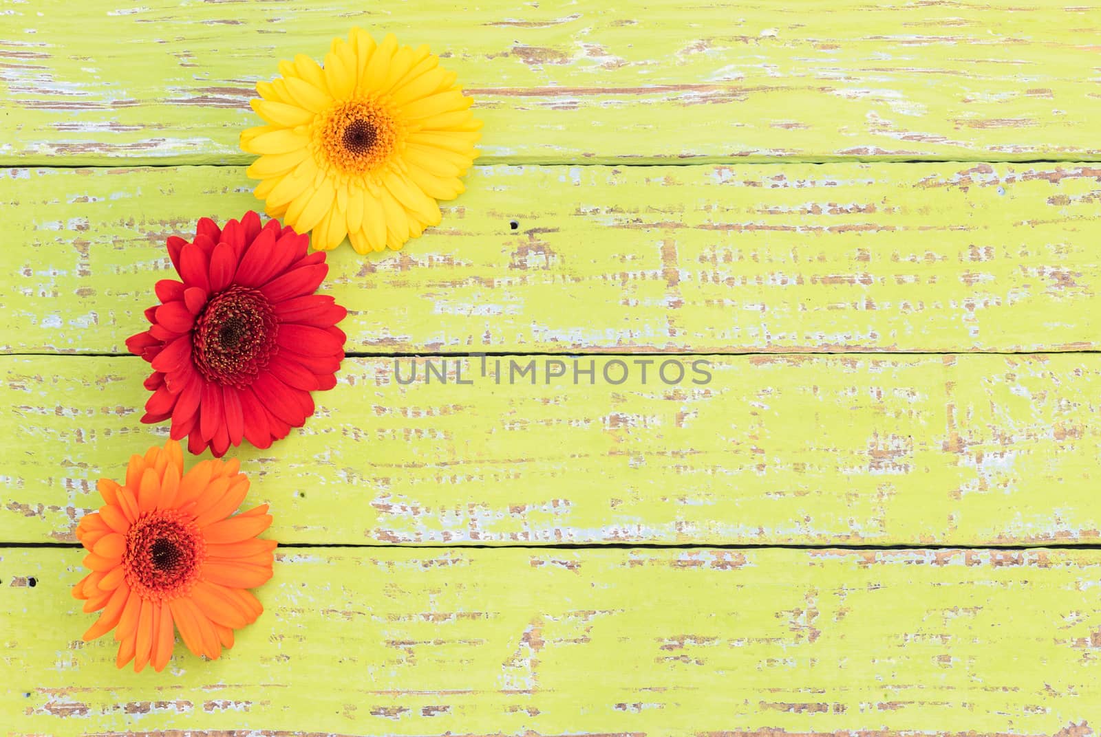 Colorful flowers on wooden background by Vulcano
