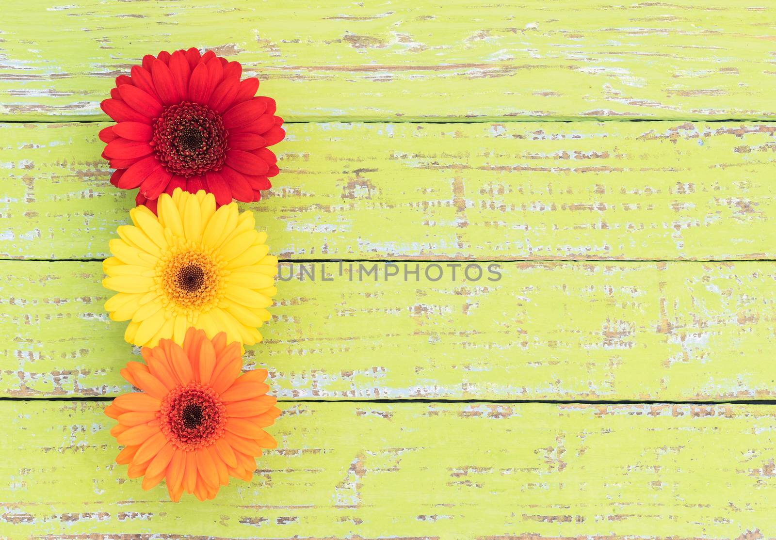 Red, yellow and orange flower arrangement on wood background with copy space