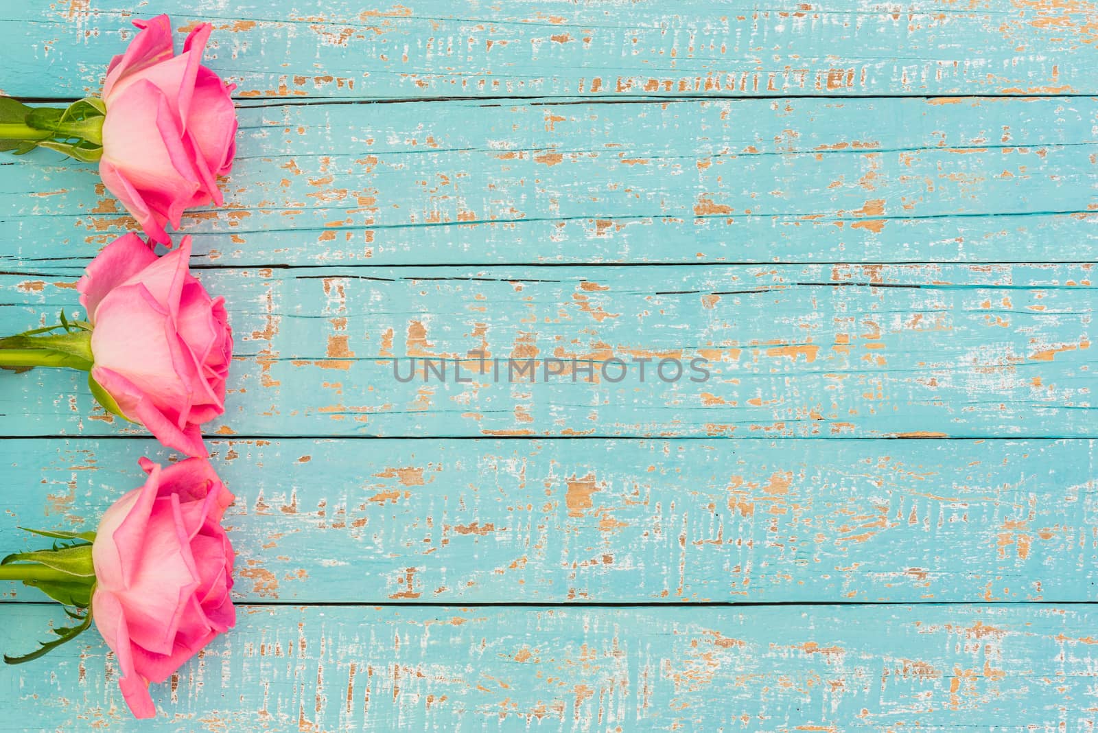 Romantic pink rose flowers side border on pastel blue wooden background with copy space