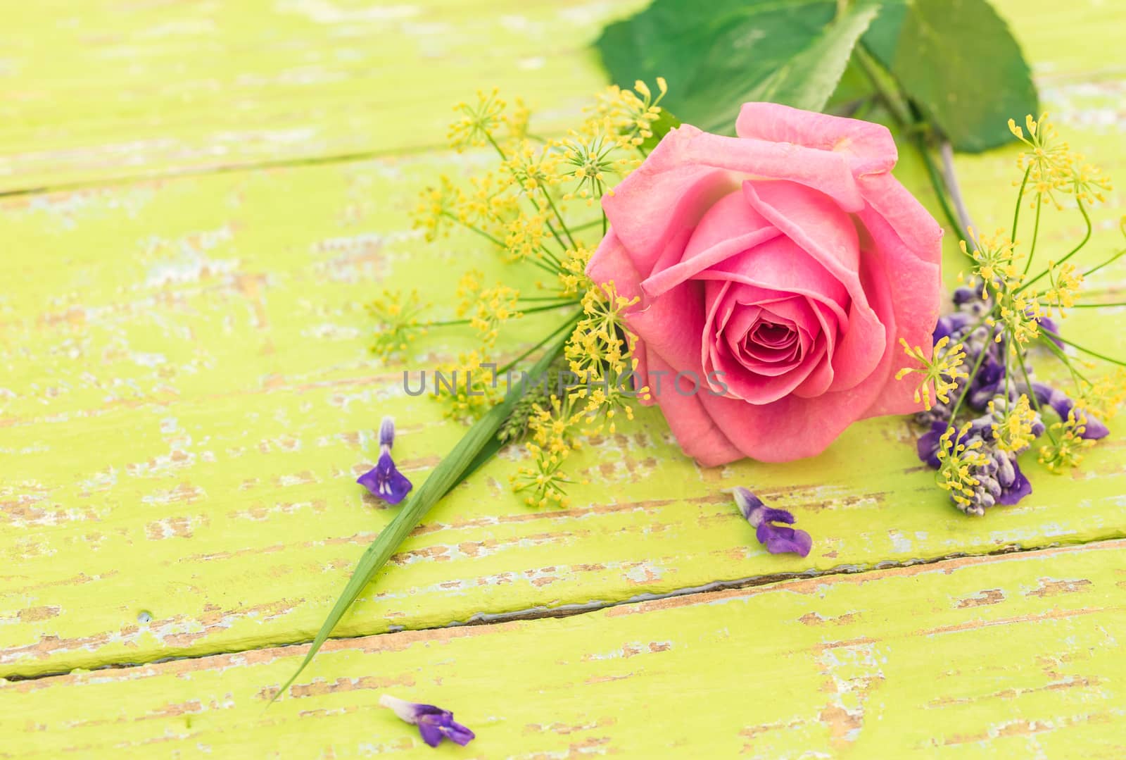 Romantic rose flower on wooden background with copy space by Vulcano