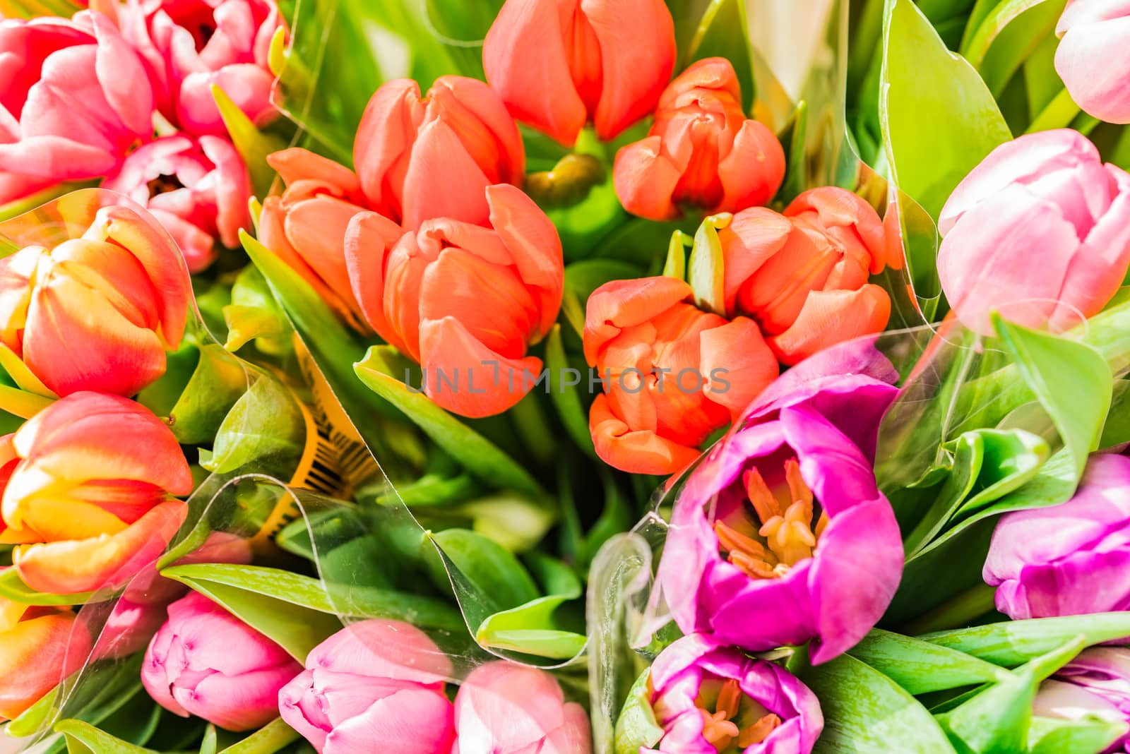 Colorful bouquets of tulips spring flowers by Vulcano