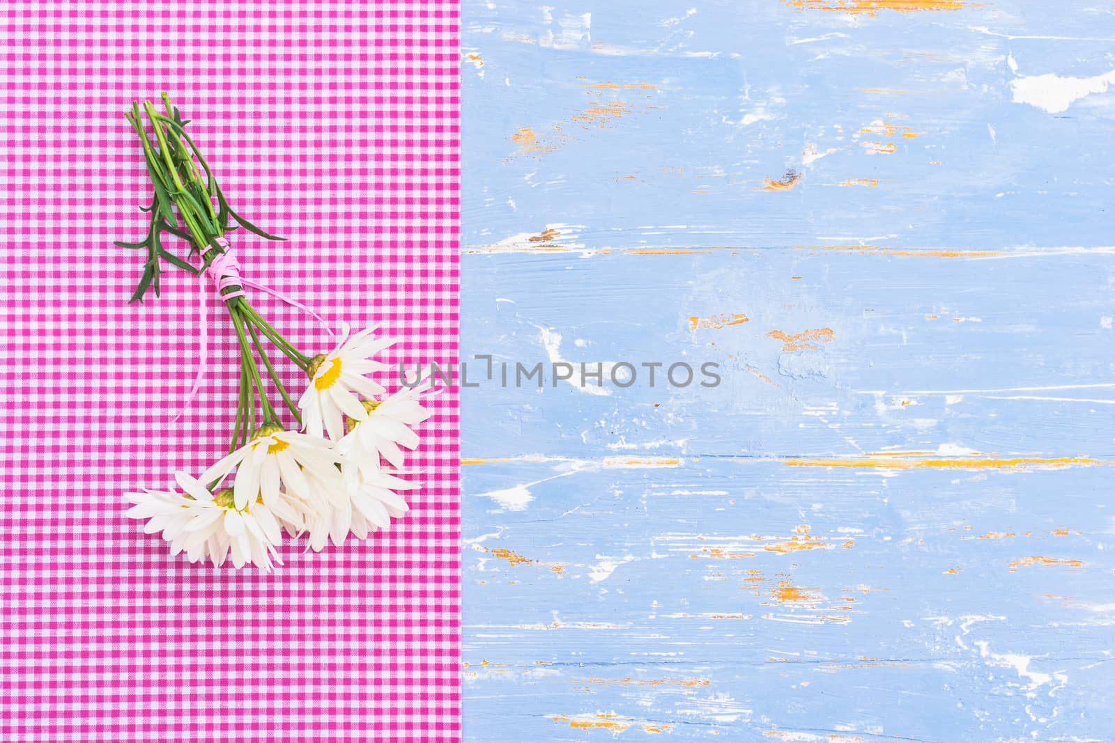 Beautiful bouquet of daisy chamomile flowers with pink border on blue wood with copy space