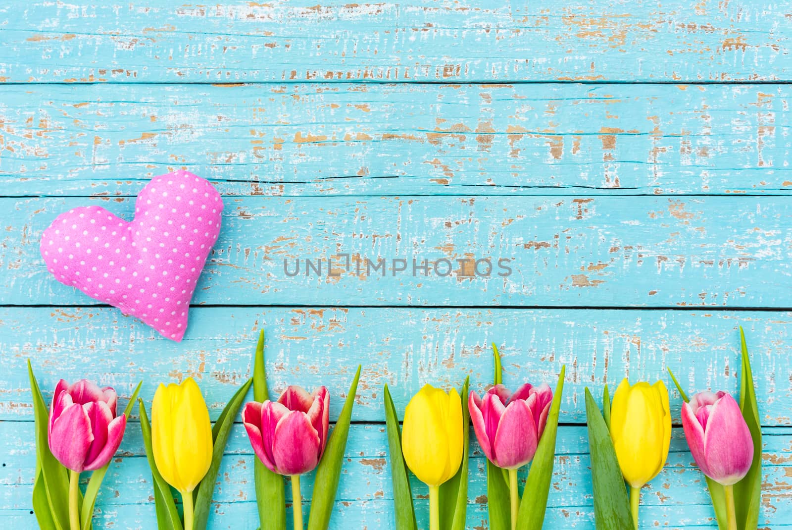 Romantic heart and tulips flowers on turquoise wooden background with copy space