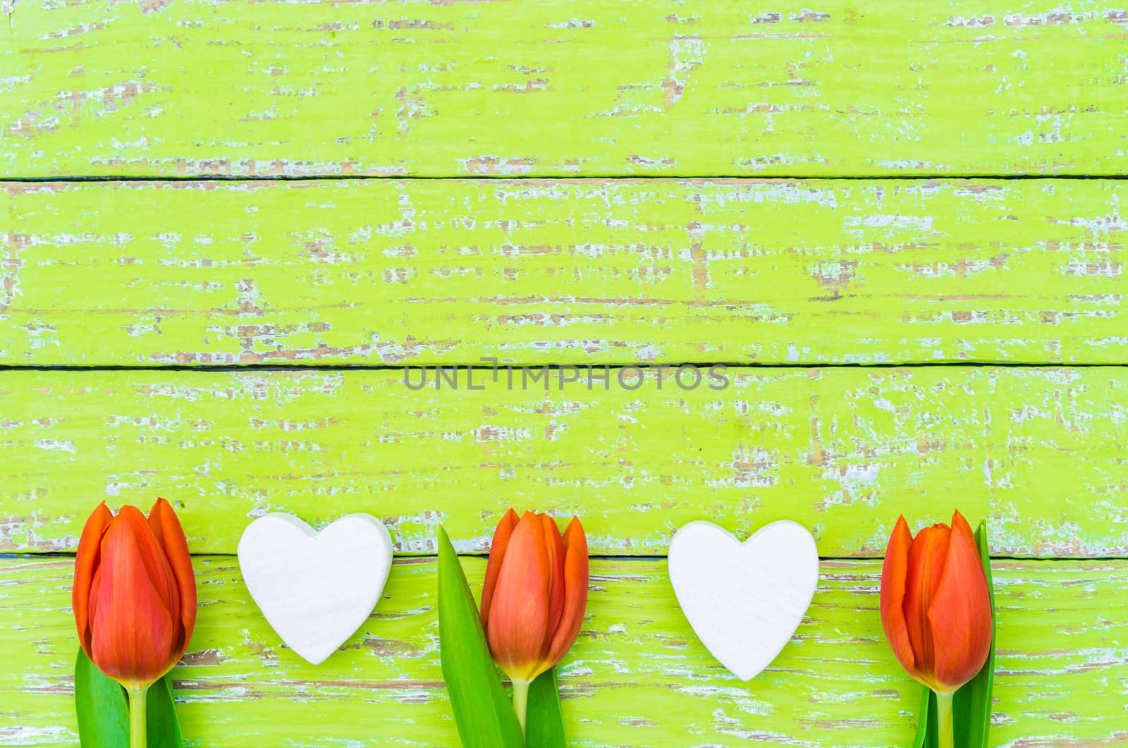 Frame with red tulip spring flowers and white hearts on green wooden background with copy space