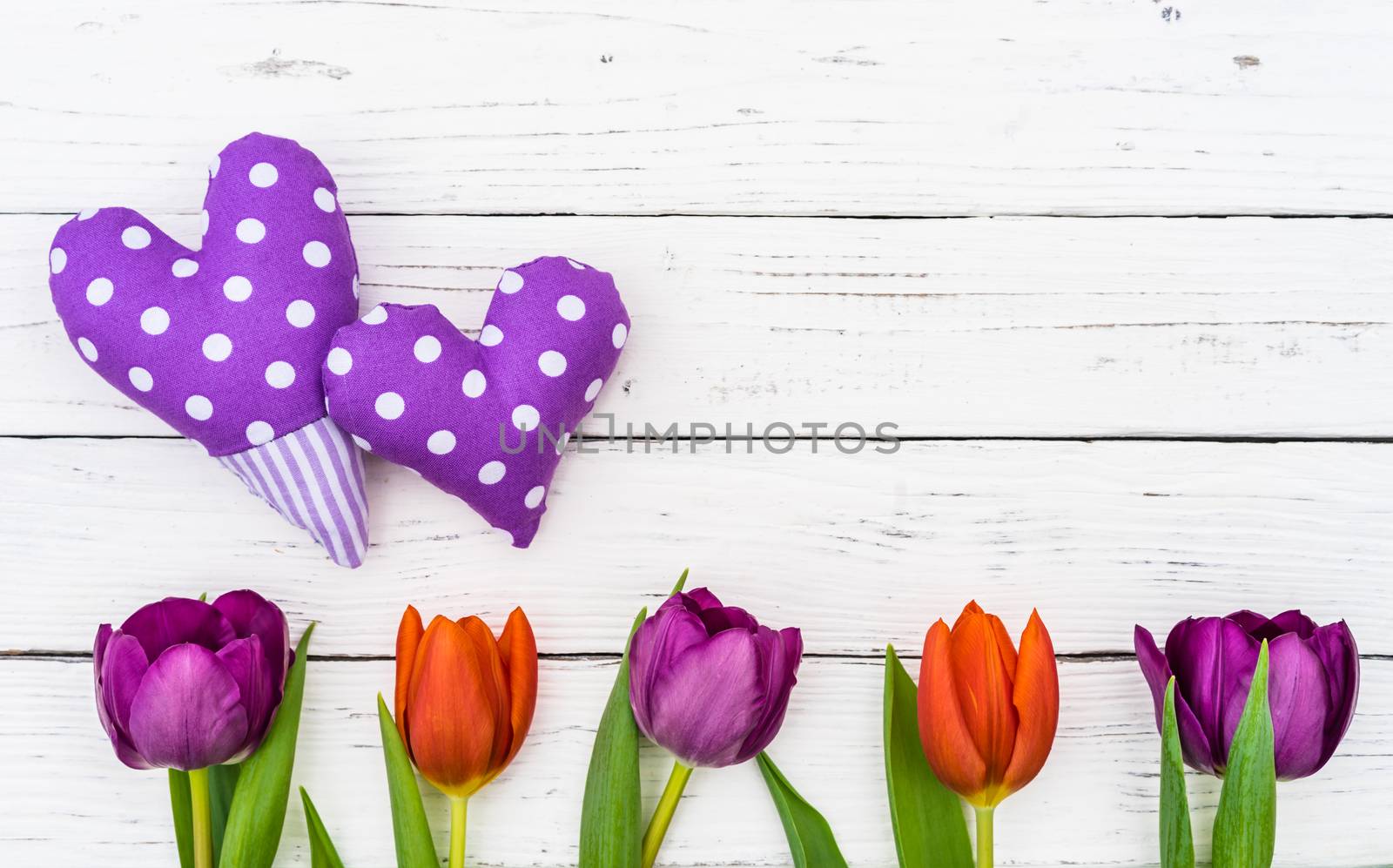 Two purple hearts with tulip flowers on white wooden background