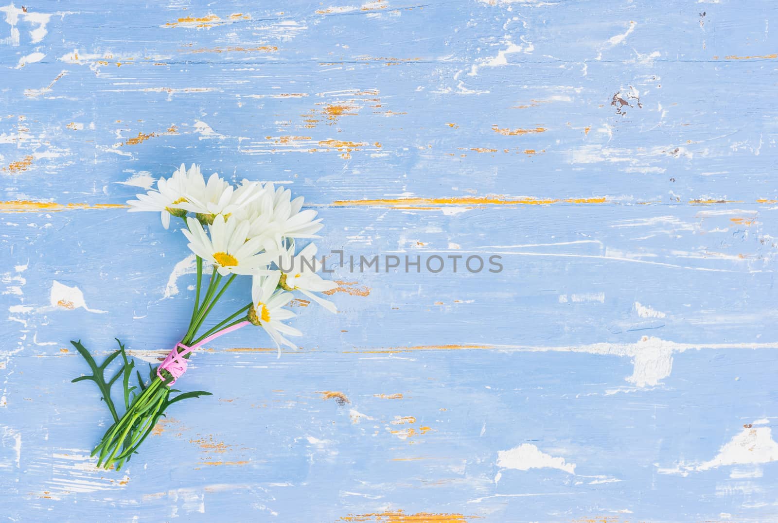 Romantic bouquet of daisy chamomile flowers on blue wooden background with copy space