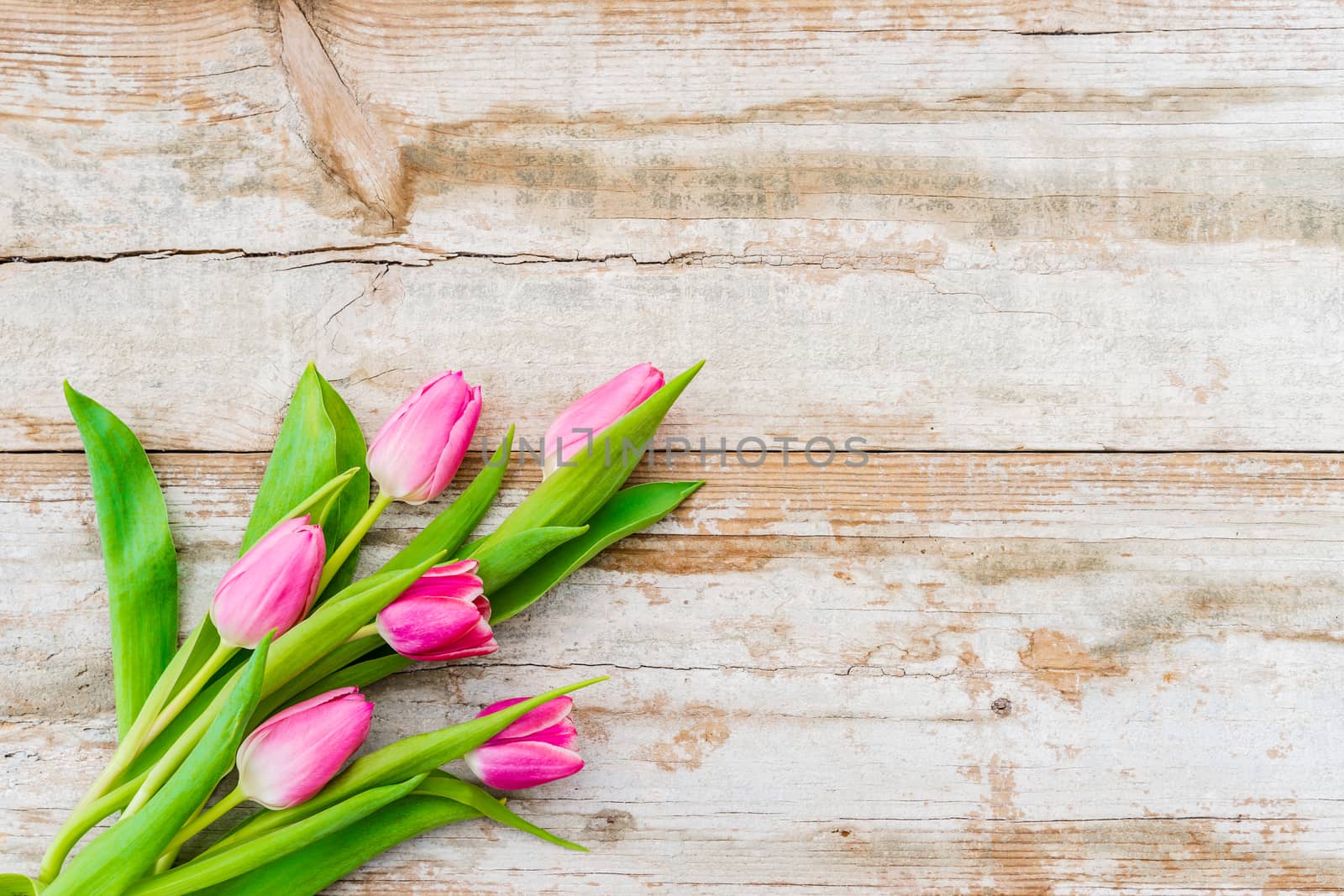Spring flowers bouqet of pink tulips on old wood with copy space