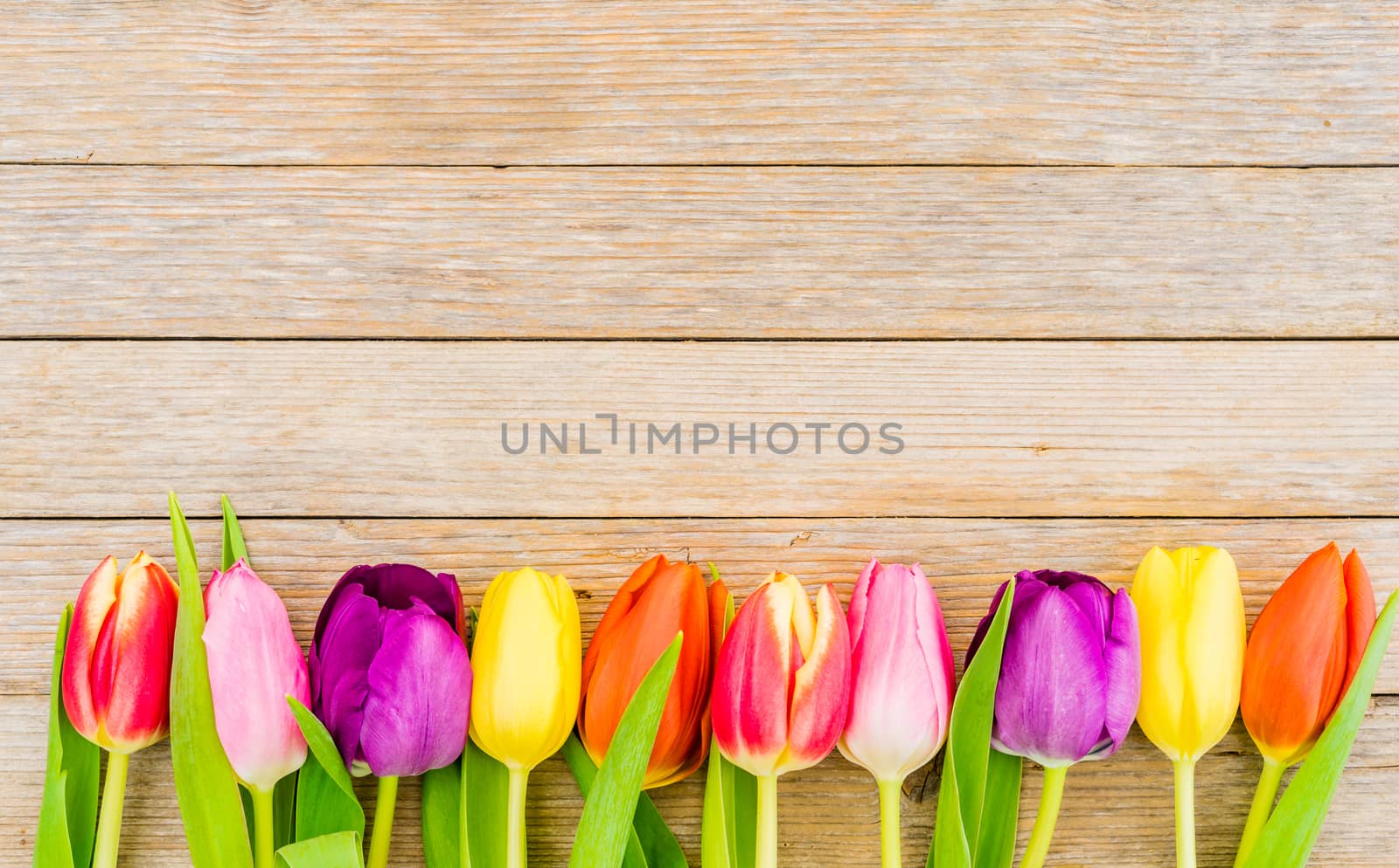 Colorful spring flowers by Vulcano