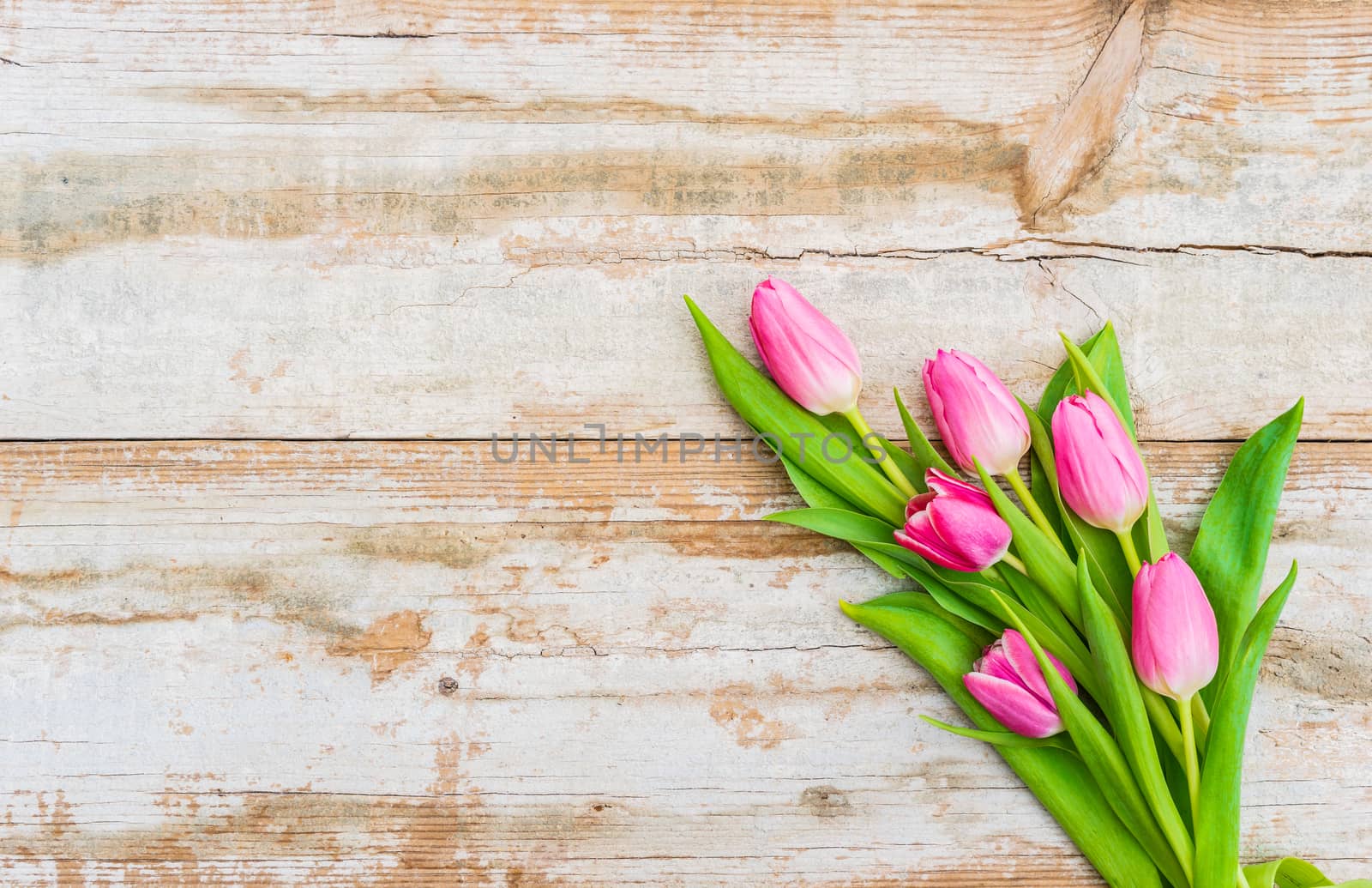 Bunch of pink tulips on rustic wooden background with copy space