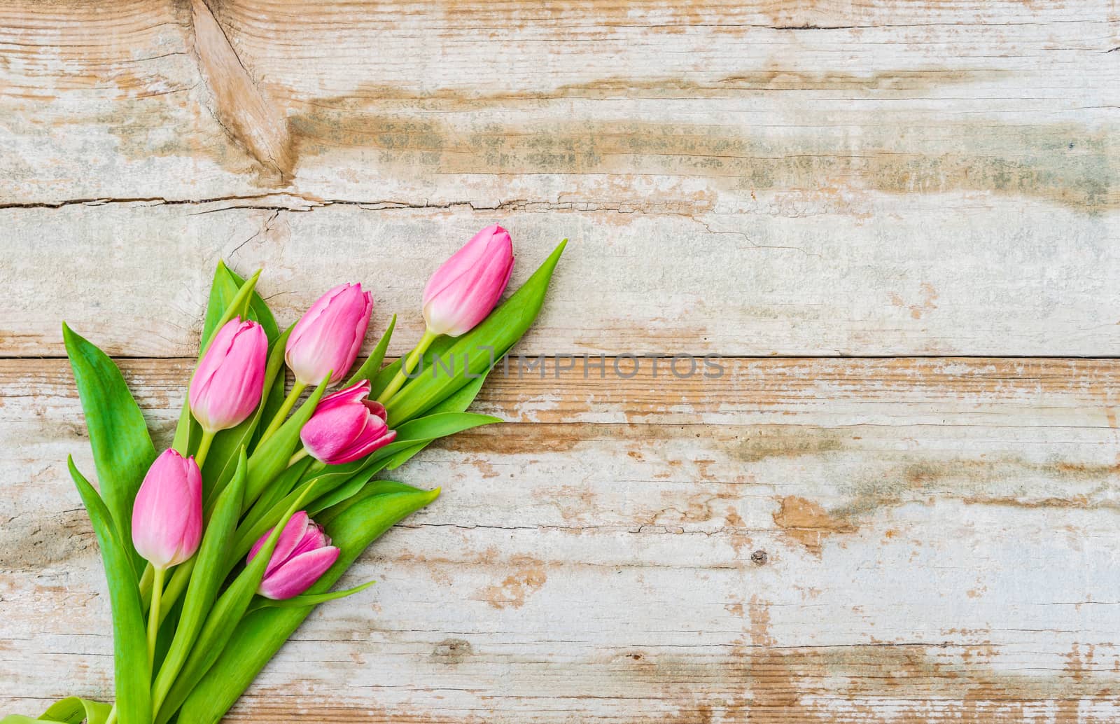 Pink spring flowers on old wooden background with copy space