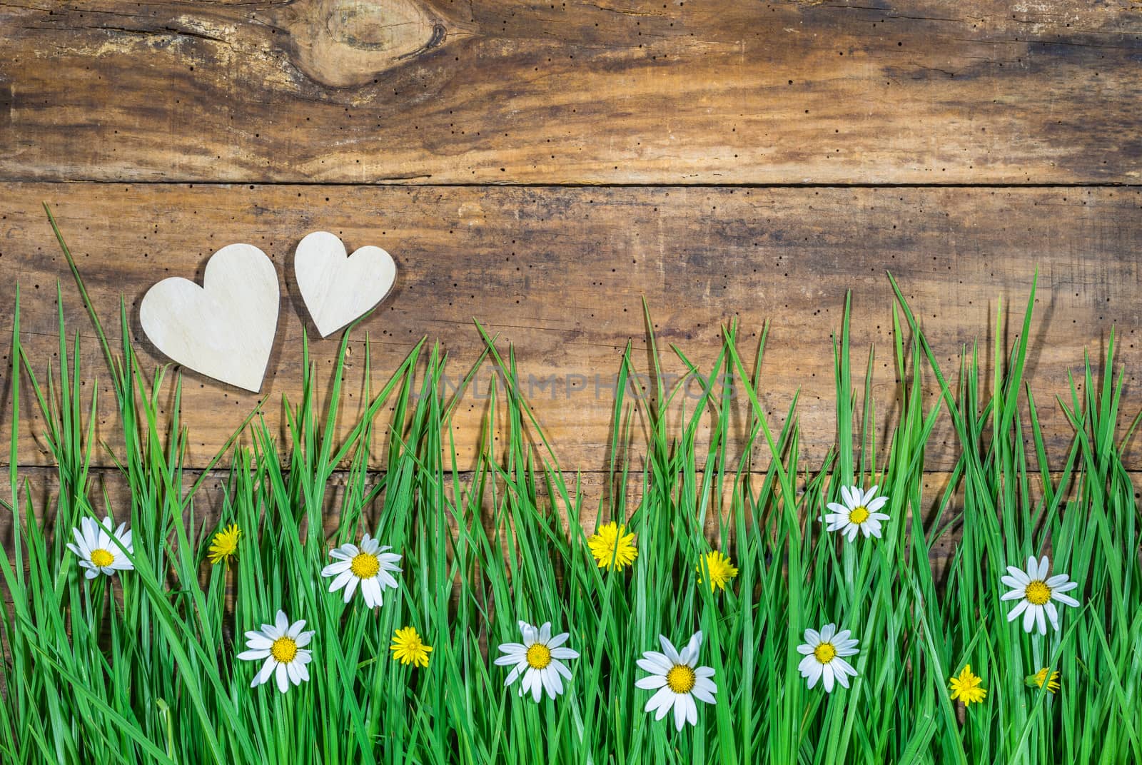 Romantic spring background with blooming meadow and two hearts on rustic wood by Vulcano