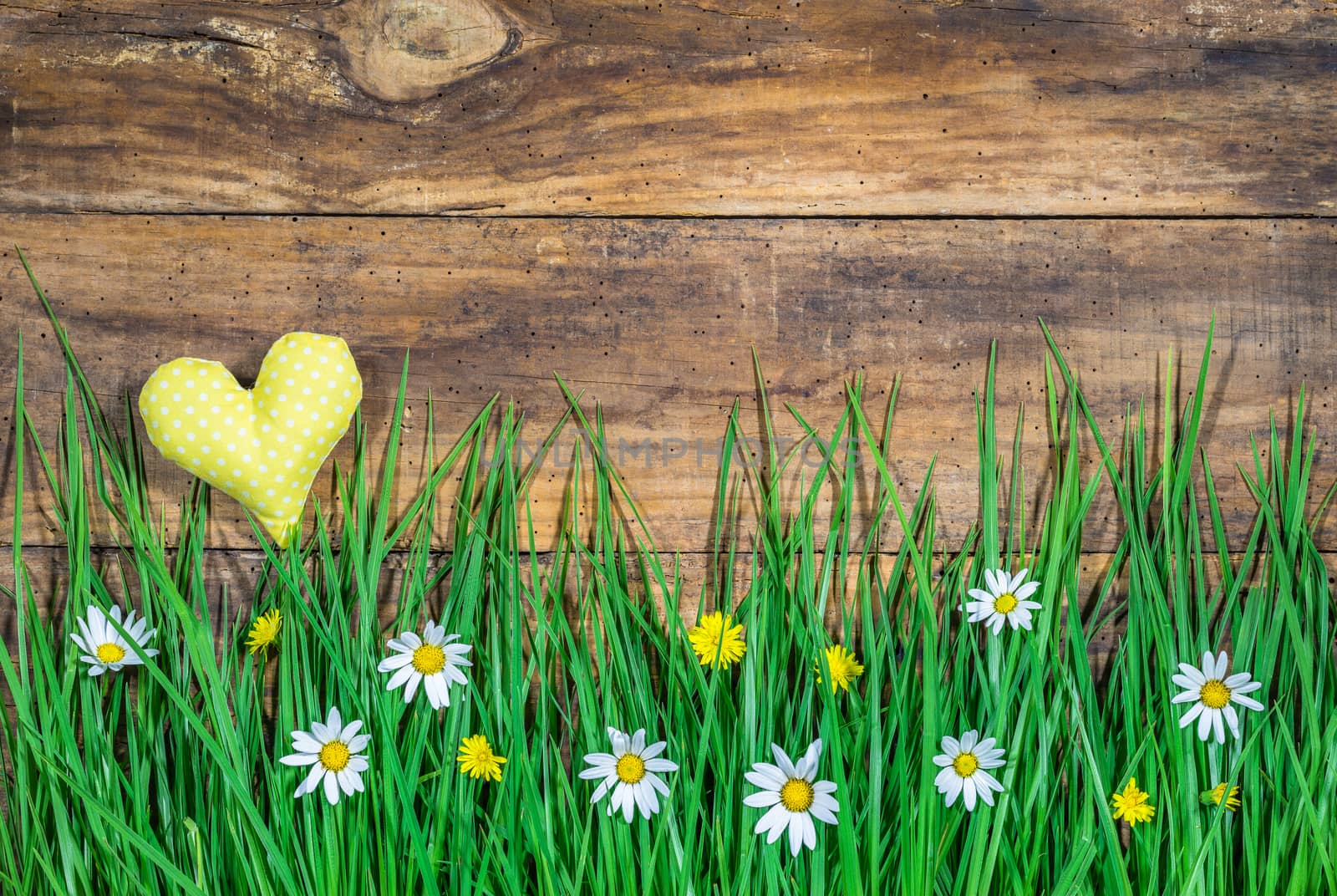 Beautiful easter background with lush green meadow with flowers and little yellow heart