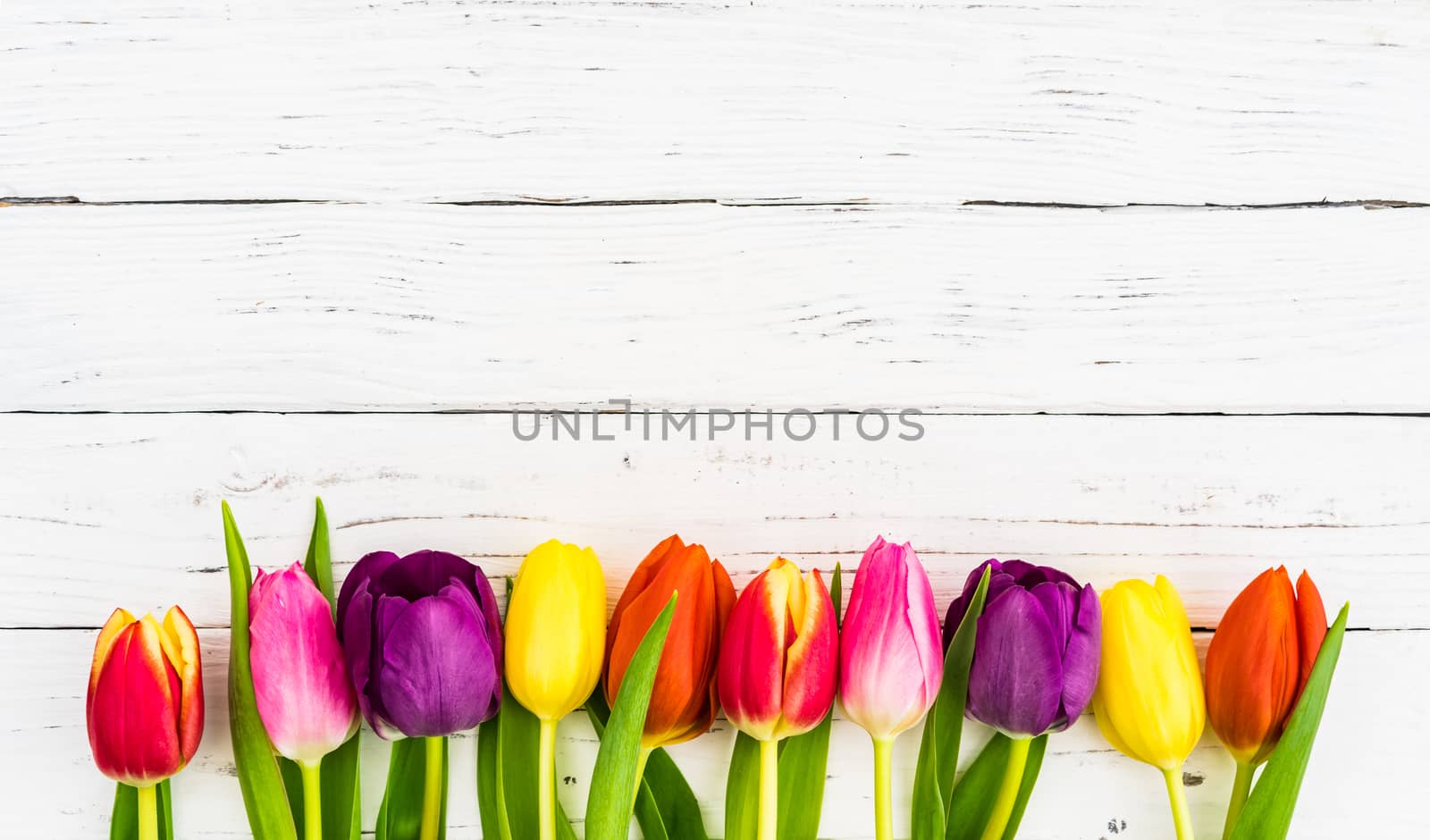 Colorful spring flowers on white background by Vulcano