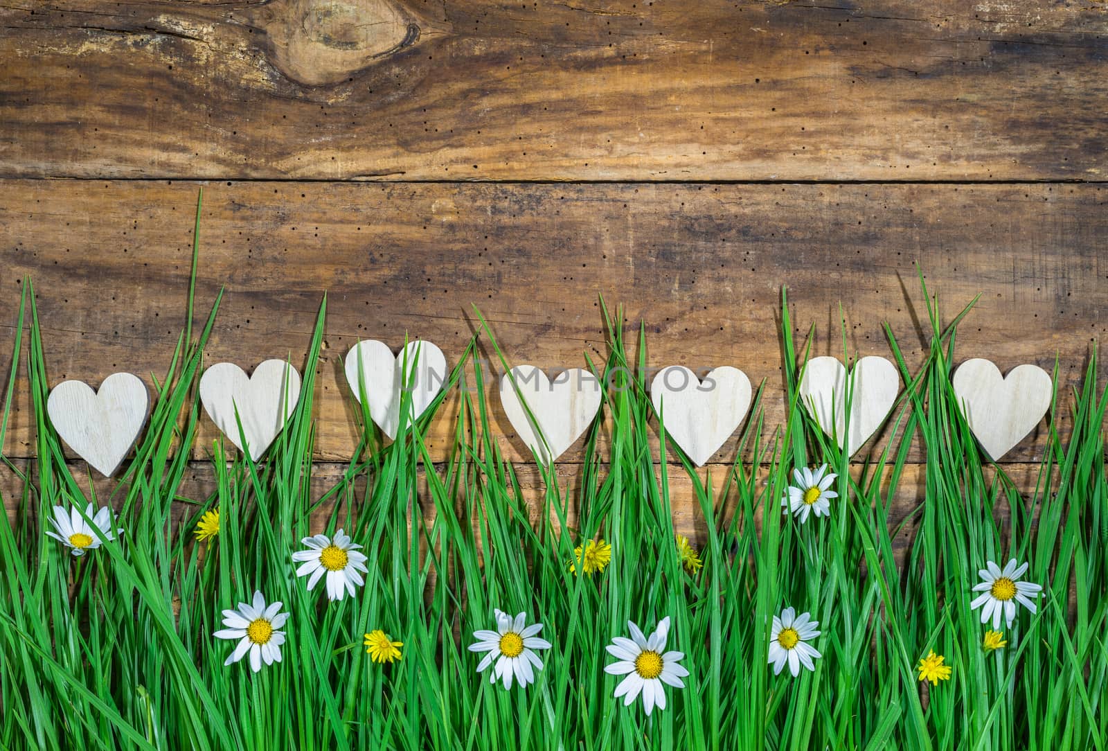 Many hearts border on wooden background with beautiful blooming meadow