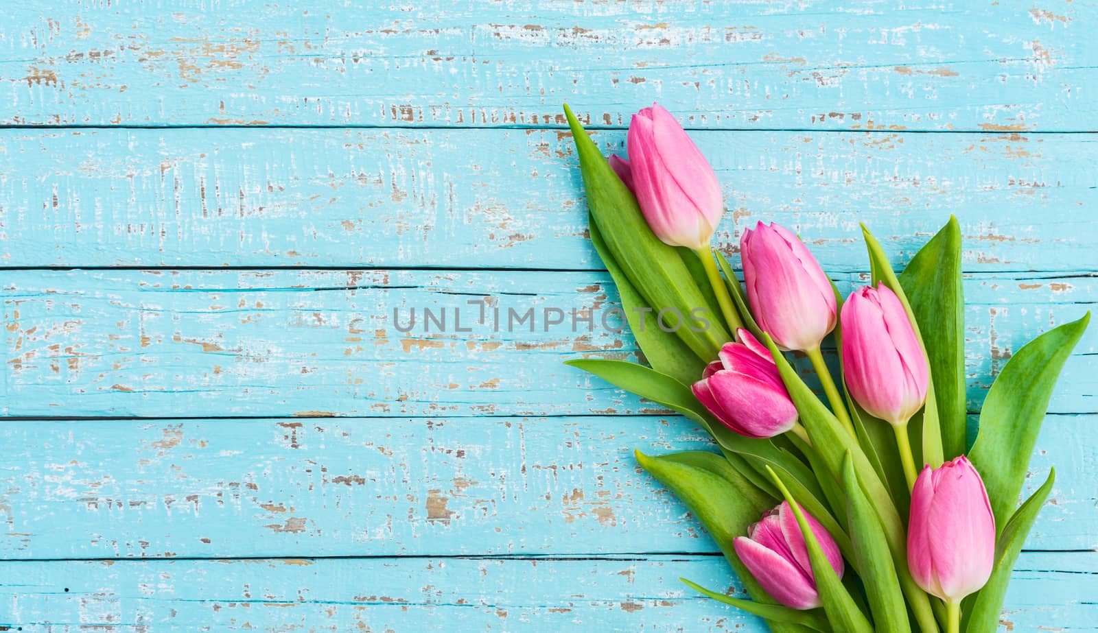 Beautiful tulip flowers on turquoise wooden background with copy space