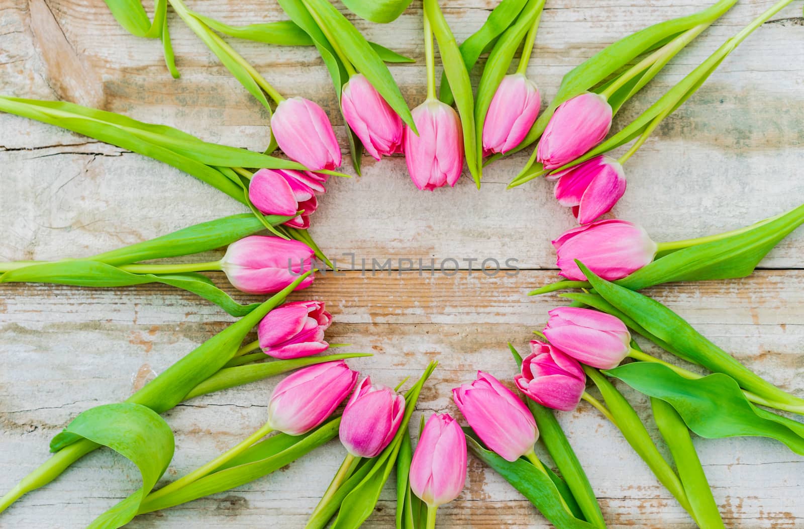 Romantic heart of pink tulip flowers on rustic wooden background by Vulcano