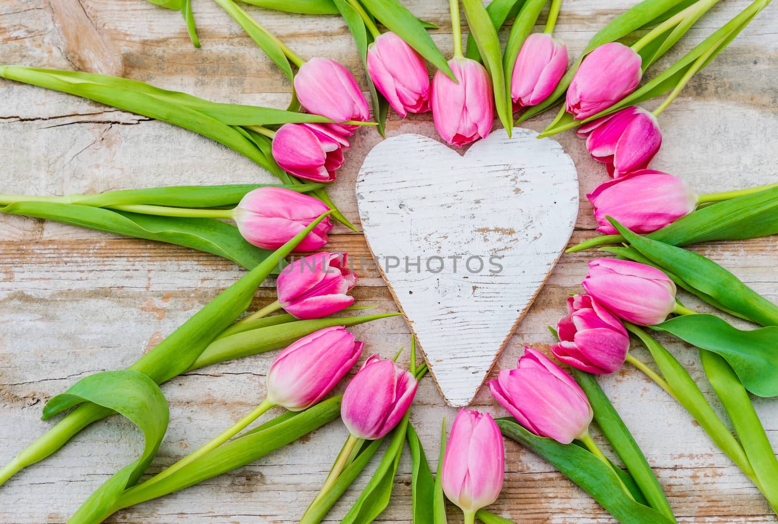 Heart shape with pink tulip flowers and white love heart